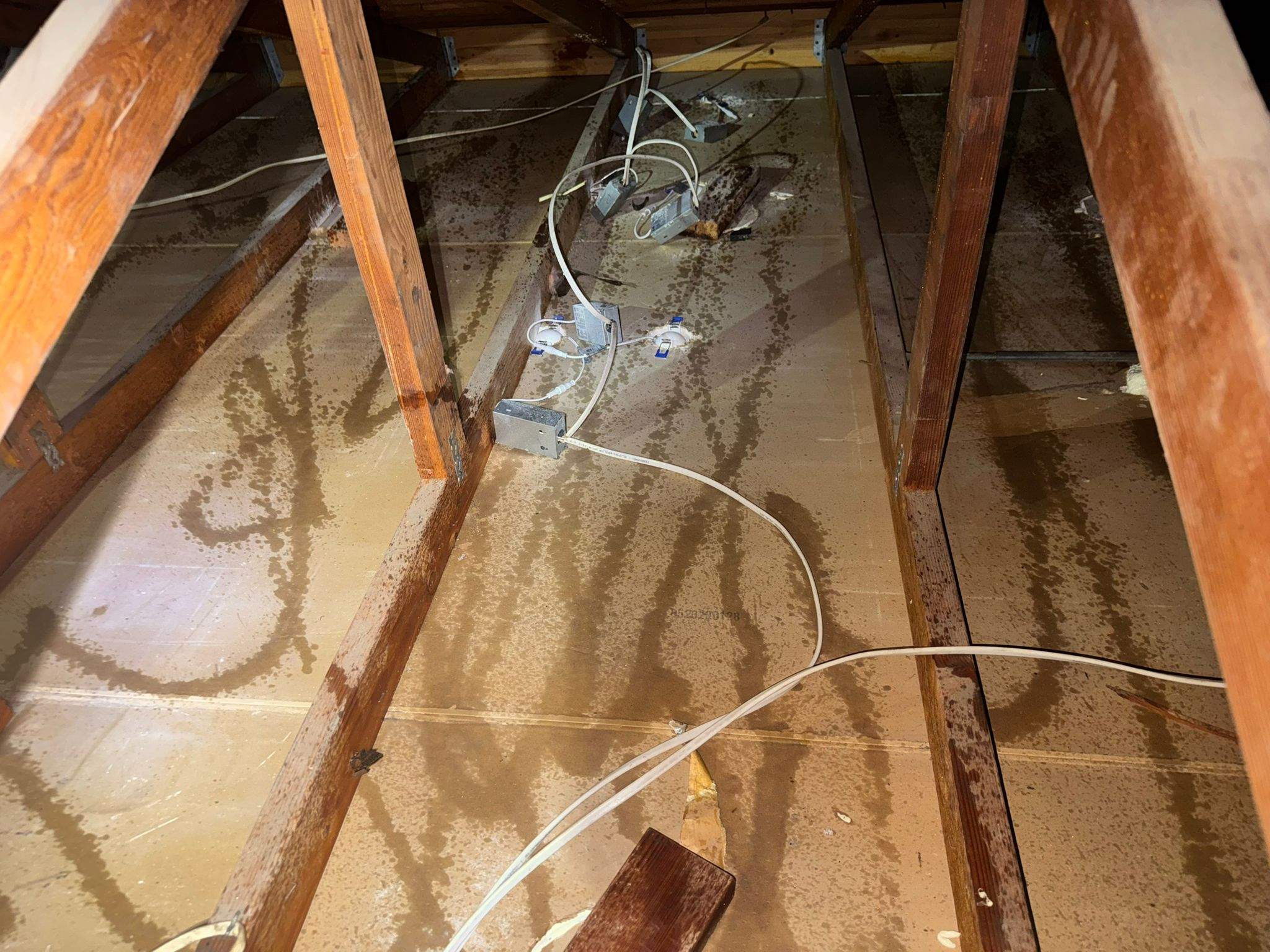 Project by Advanced Attic Solutions by Advanced Attic Solutions