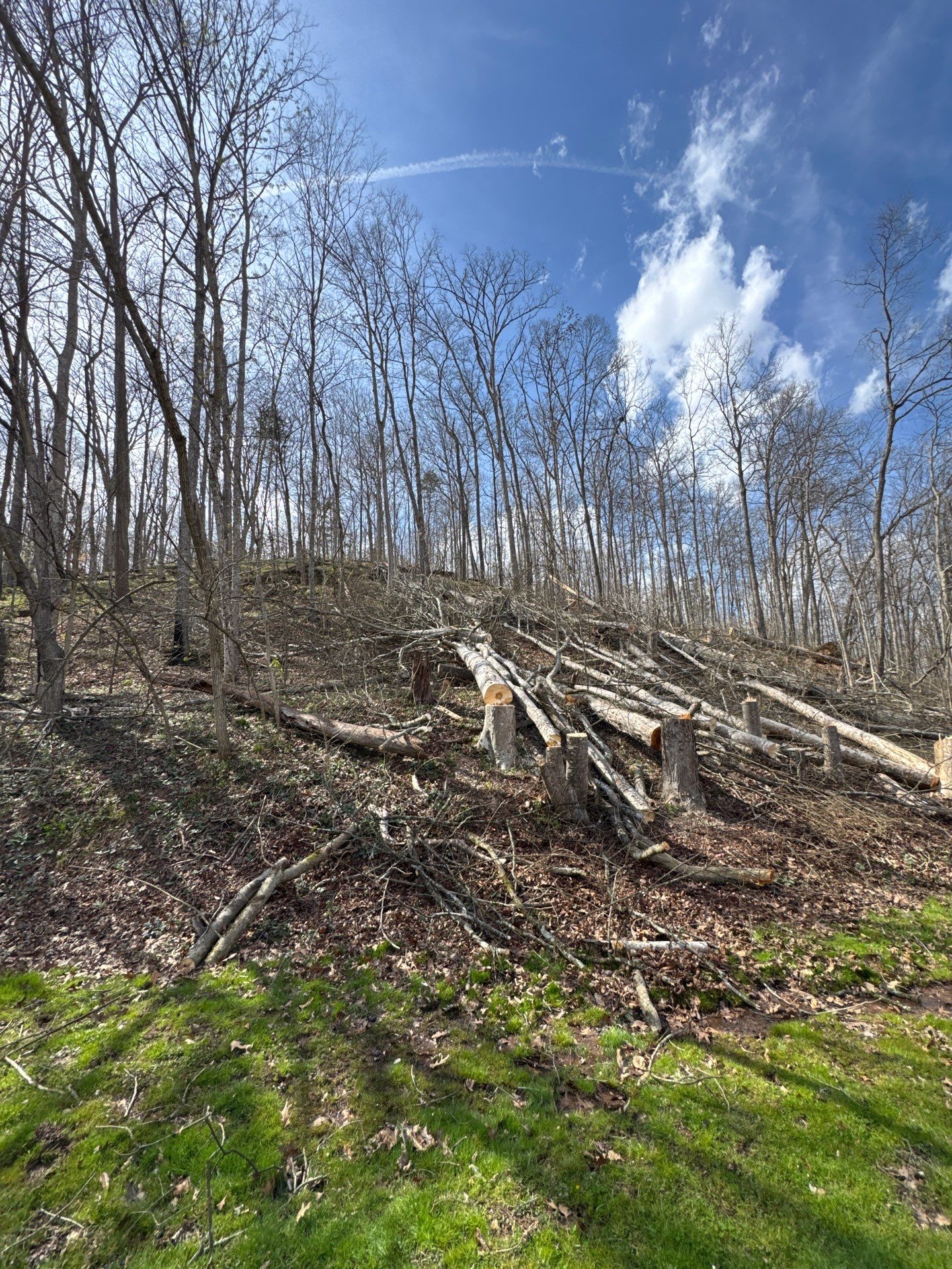 Project in Putnam County, WV by Jones Empire LLC