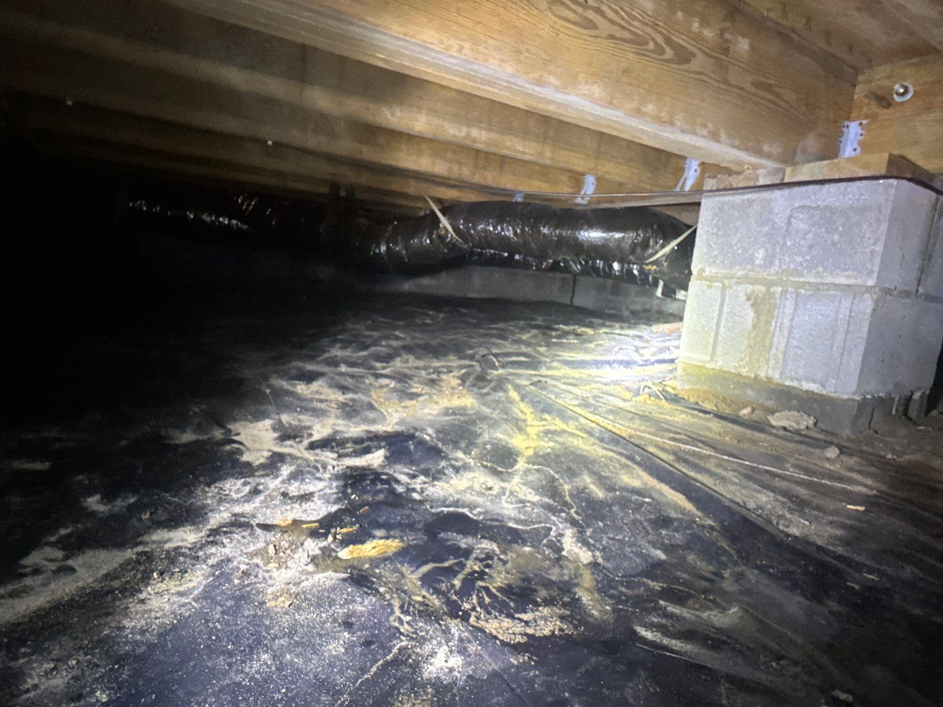 Project in Carrsville by Patriot Crawl Space Repairs