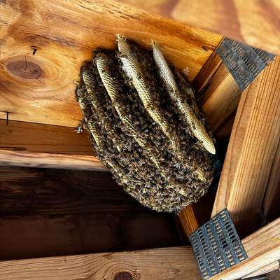 Final Beauty of 2024