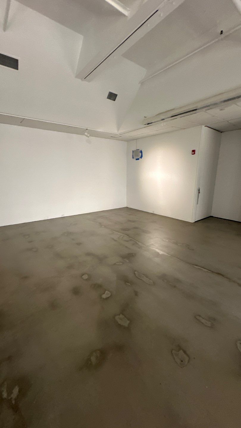 Grind off 20 layers of Paint Project in Pittsburgh by Floors in a Day, Inc