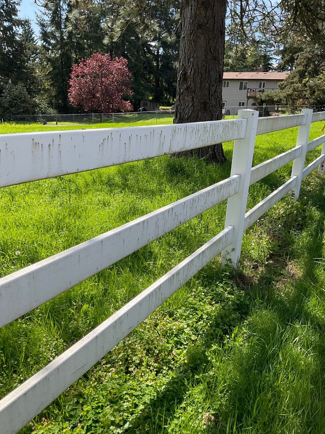 Vinyl Fence Wash using Surfactant by Willamette Outdoor Wash LLC