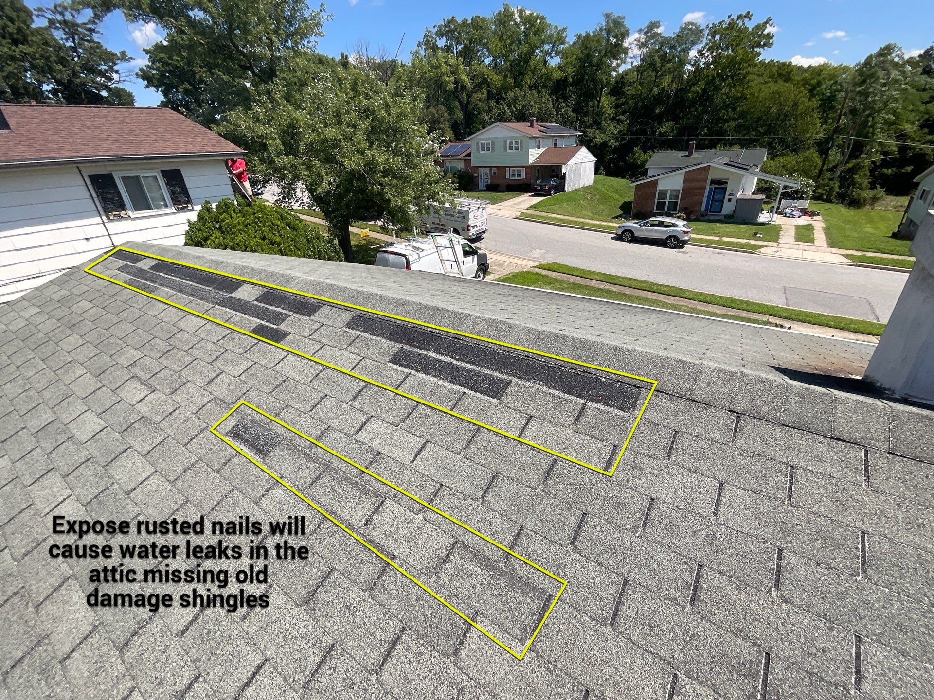 New Shingle Roof by Alpha Design Services