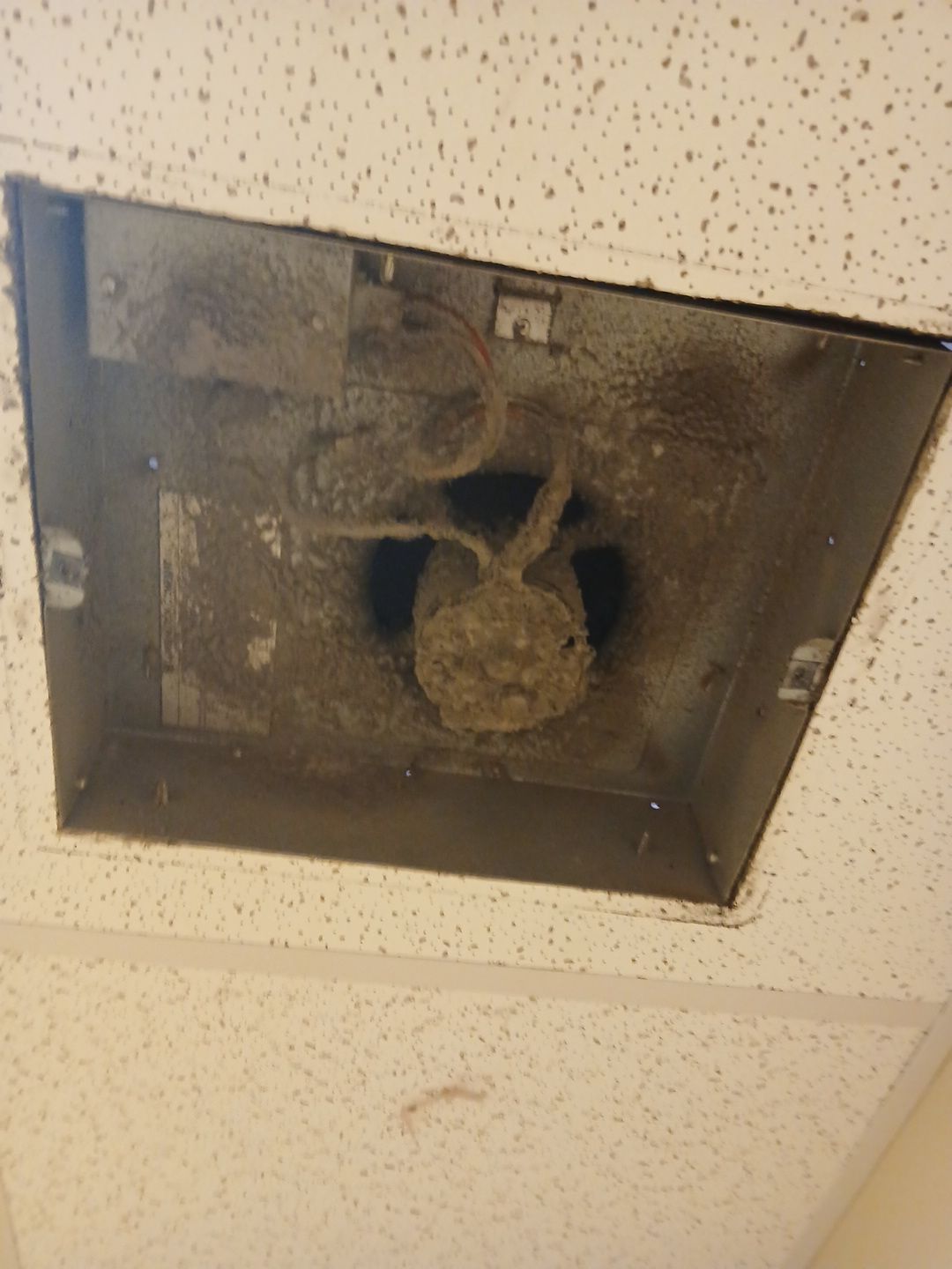 Commercial Ventilation System Maintenance and Exhaust Fan Repair in Austin by RejuveNate Renovations LLC