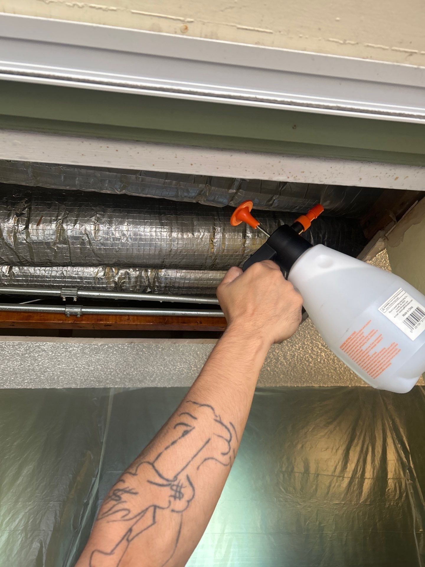 Pebble Springs Mold Remediation by Ampm Restoration Services