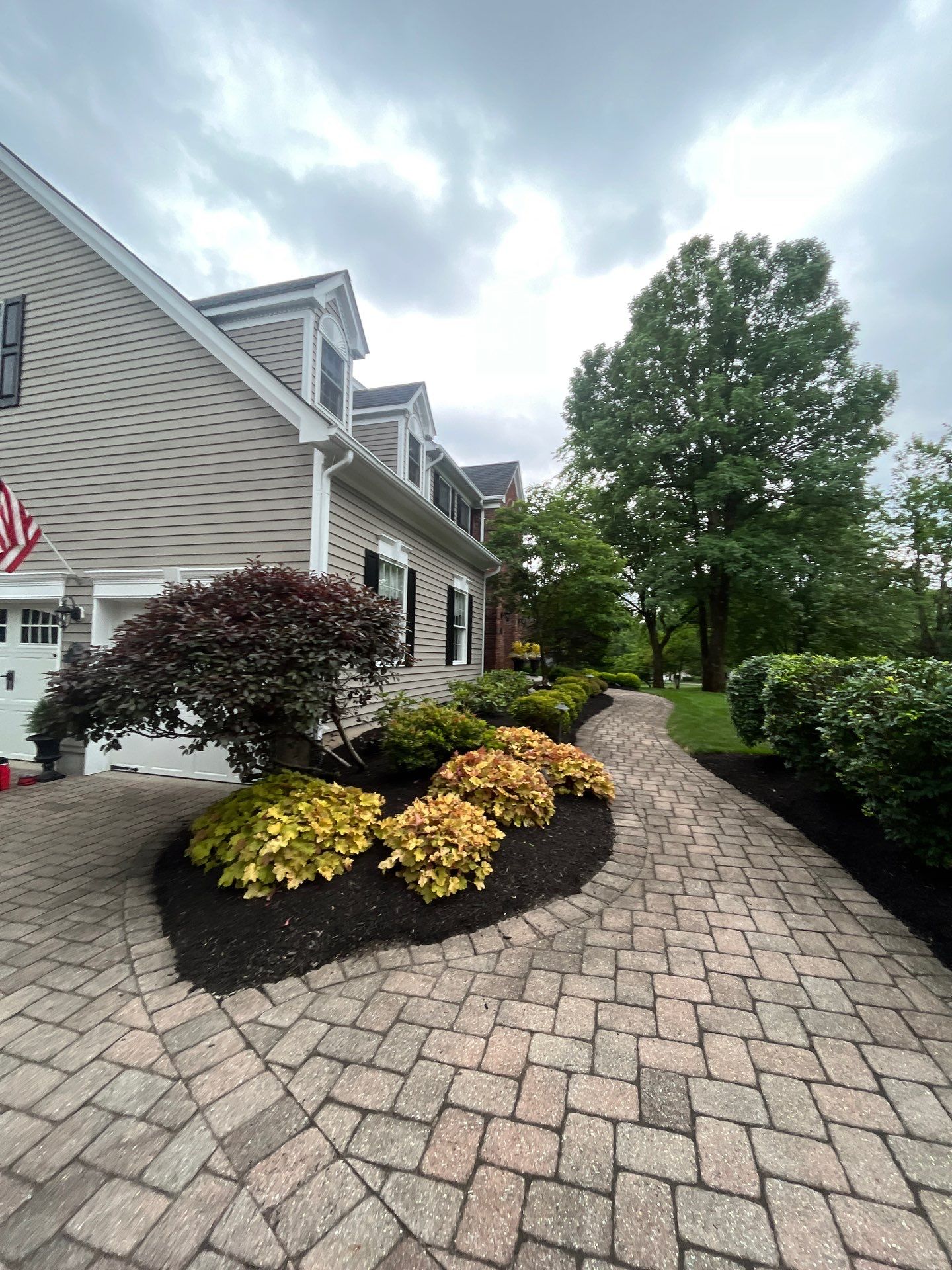 Comprehensive Shrub and Ornamental Bed Maintenance in Basking Ridge by Ants Plants