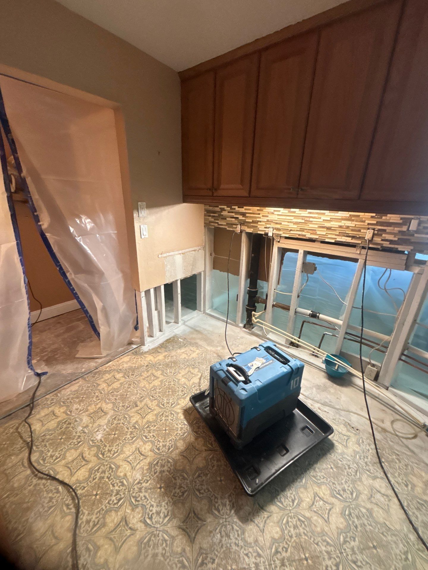 Black Mold Removal In Venice Florida by Ampm Restoration Services