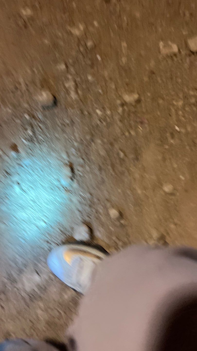 Mold Damage by Accountable Home Services