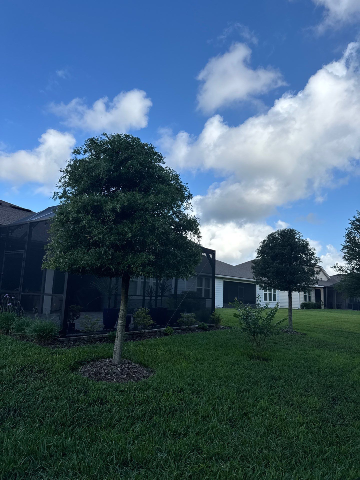 Residential | Topsoil Install & Tree Trimming by ProGreen Services
