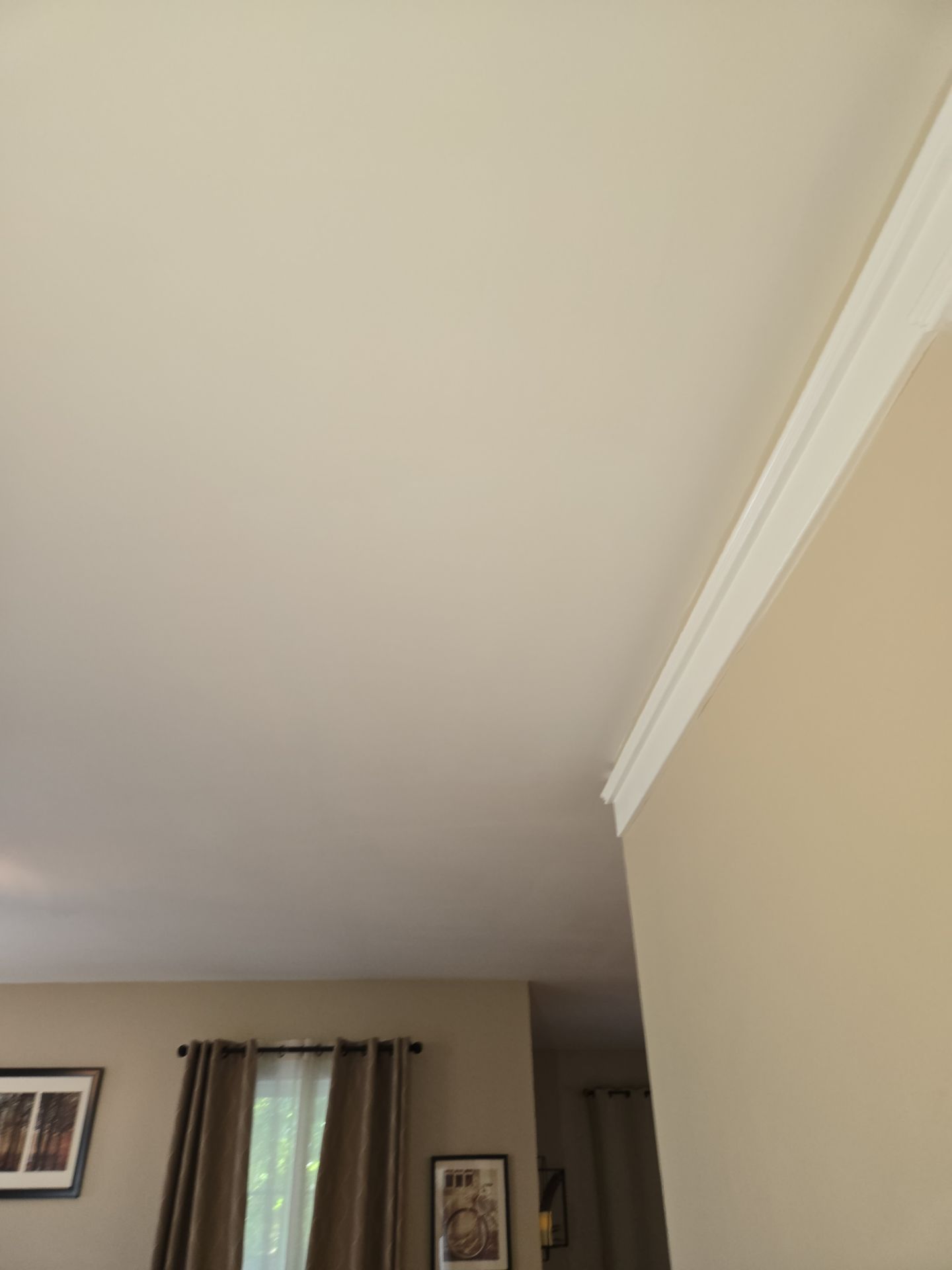 Water Line Leak Repair for a Repeat Customer by A Step Above Handy LLC