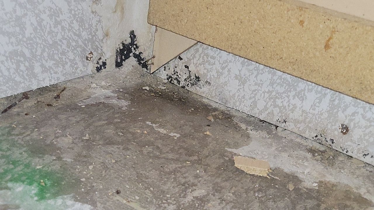 Rebuild by Accountable Home Services