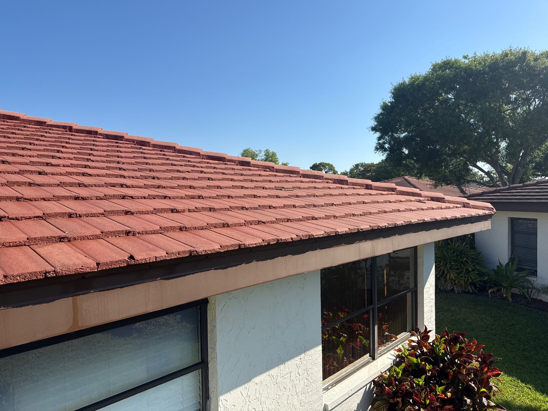 Tile Roof Cleaning – Vivenda at Bradenton I (5-Star Review & Plant Protection) by Sunshine AquaWash