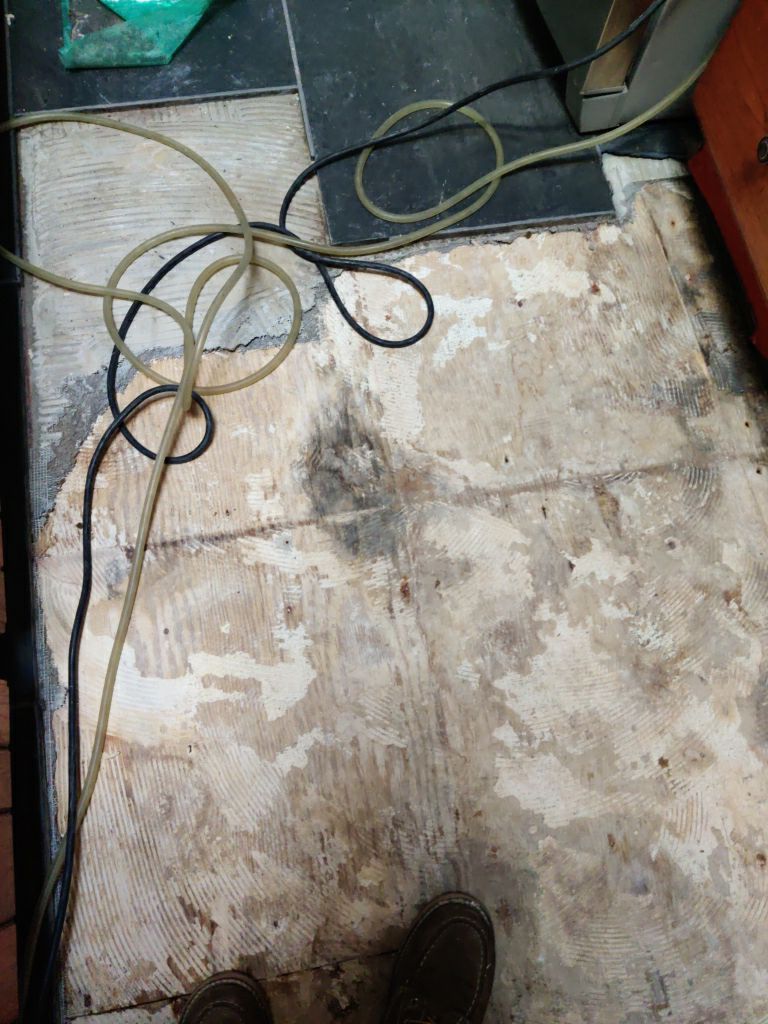 Mold Remediation using Containment by Accountable Home Services