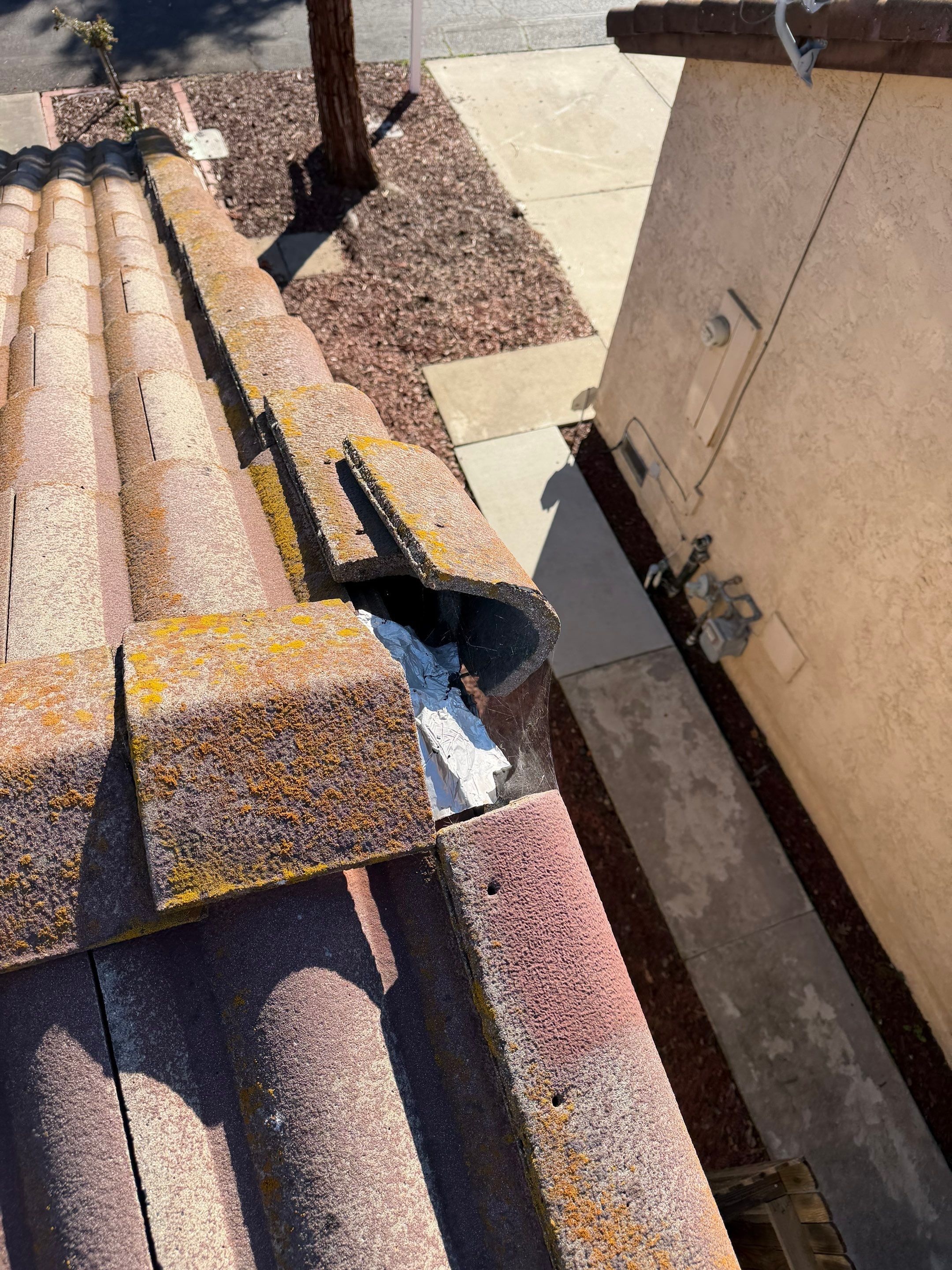 Project in Citrus Heights  by NuLead Construction Inc