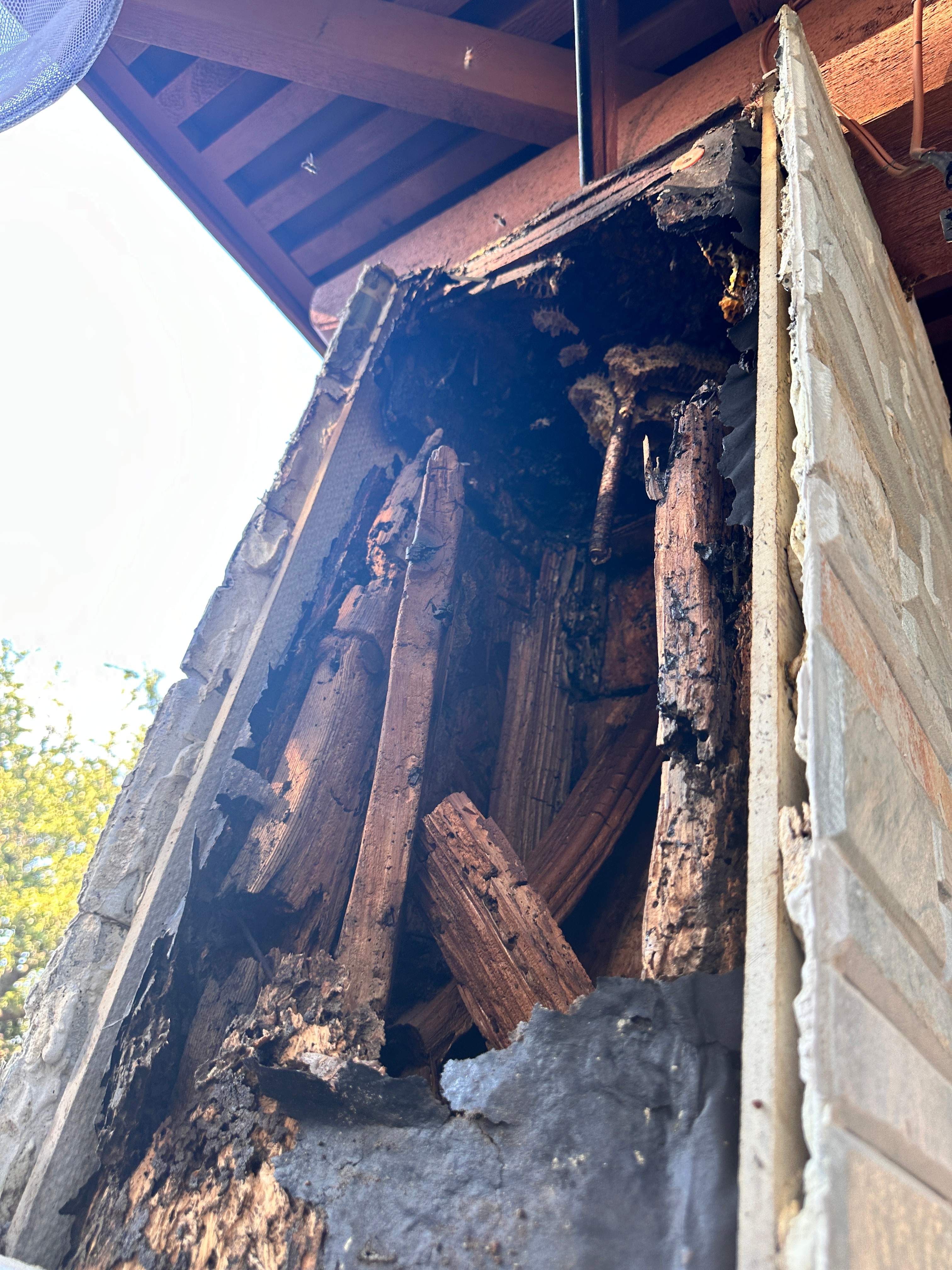 Scary Pergola by Rockwall Honey Bee Company