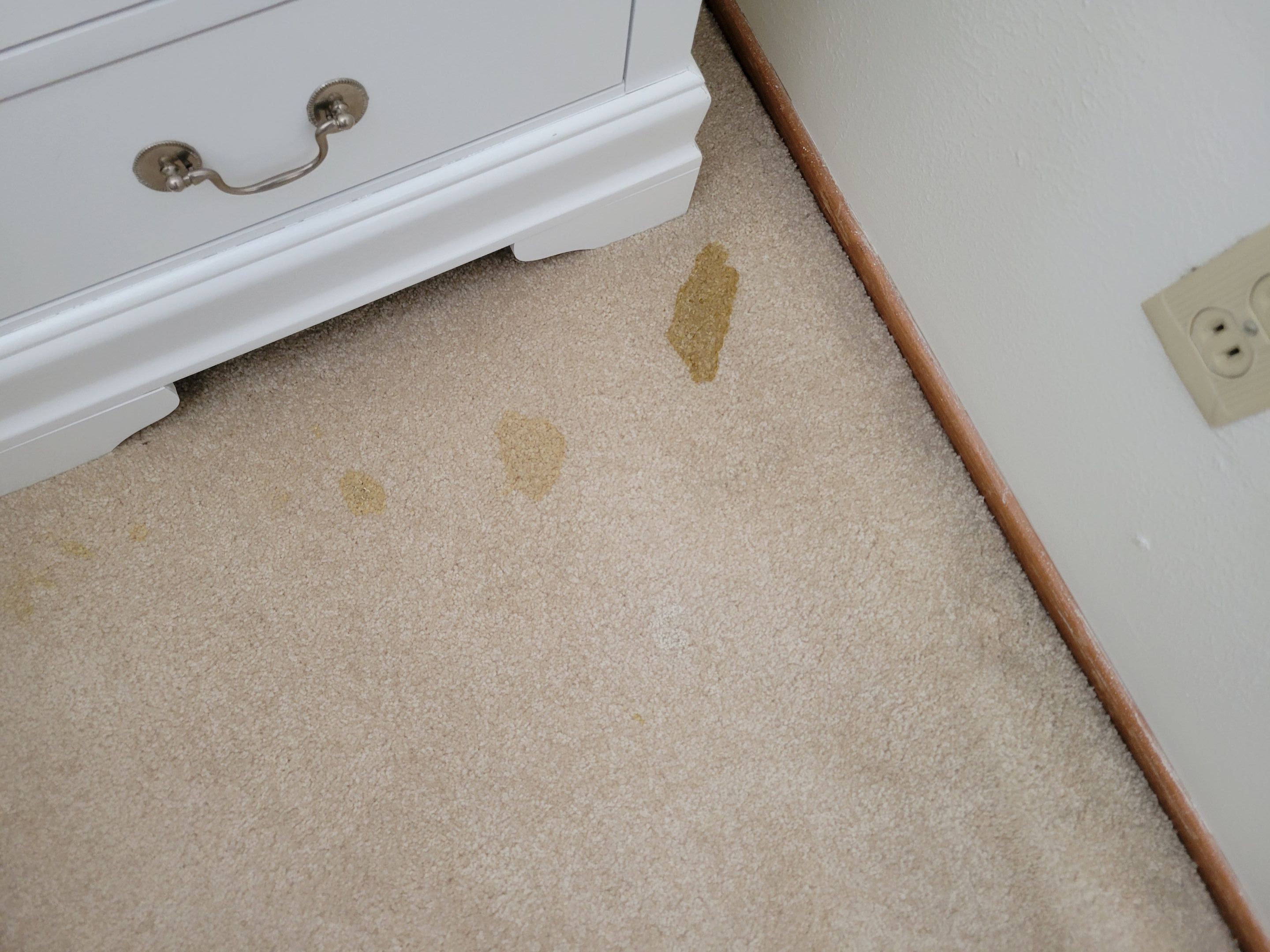 Removal of Glue Stains by Ardent Carpet Restore LLC