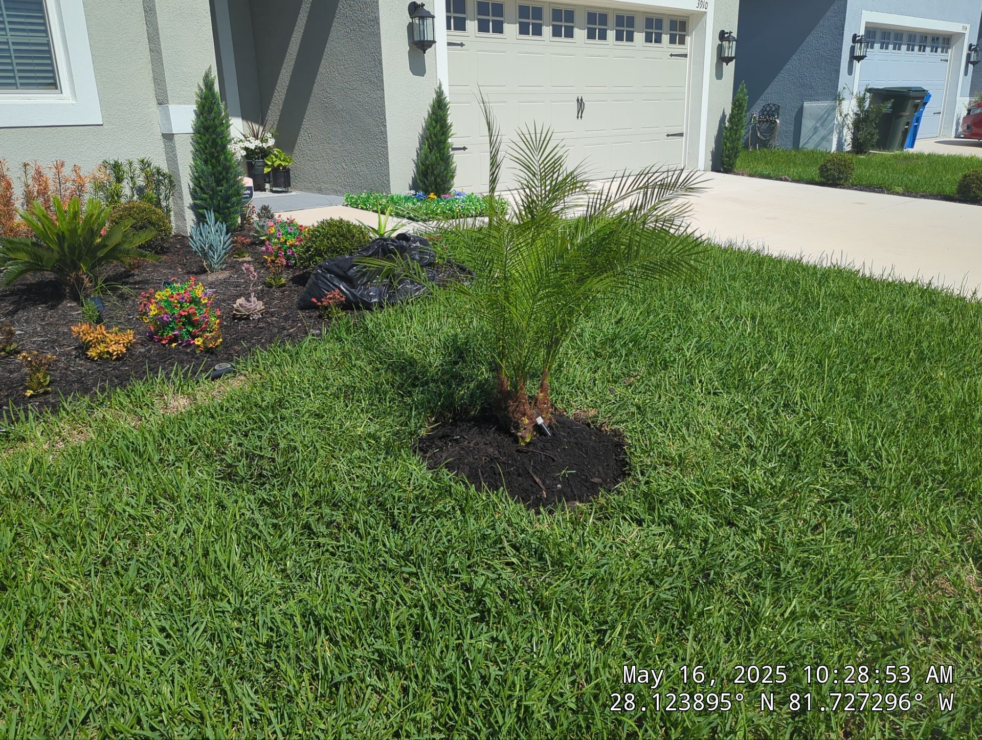 Complete Lawn Restoration with St. Augustine Sod by 
M.A.B. Landscaping & Property Maintenance