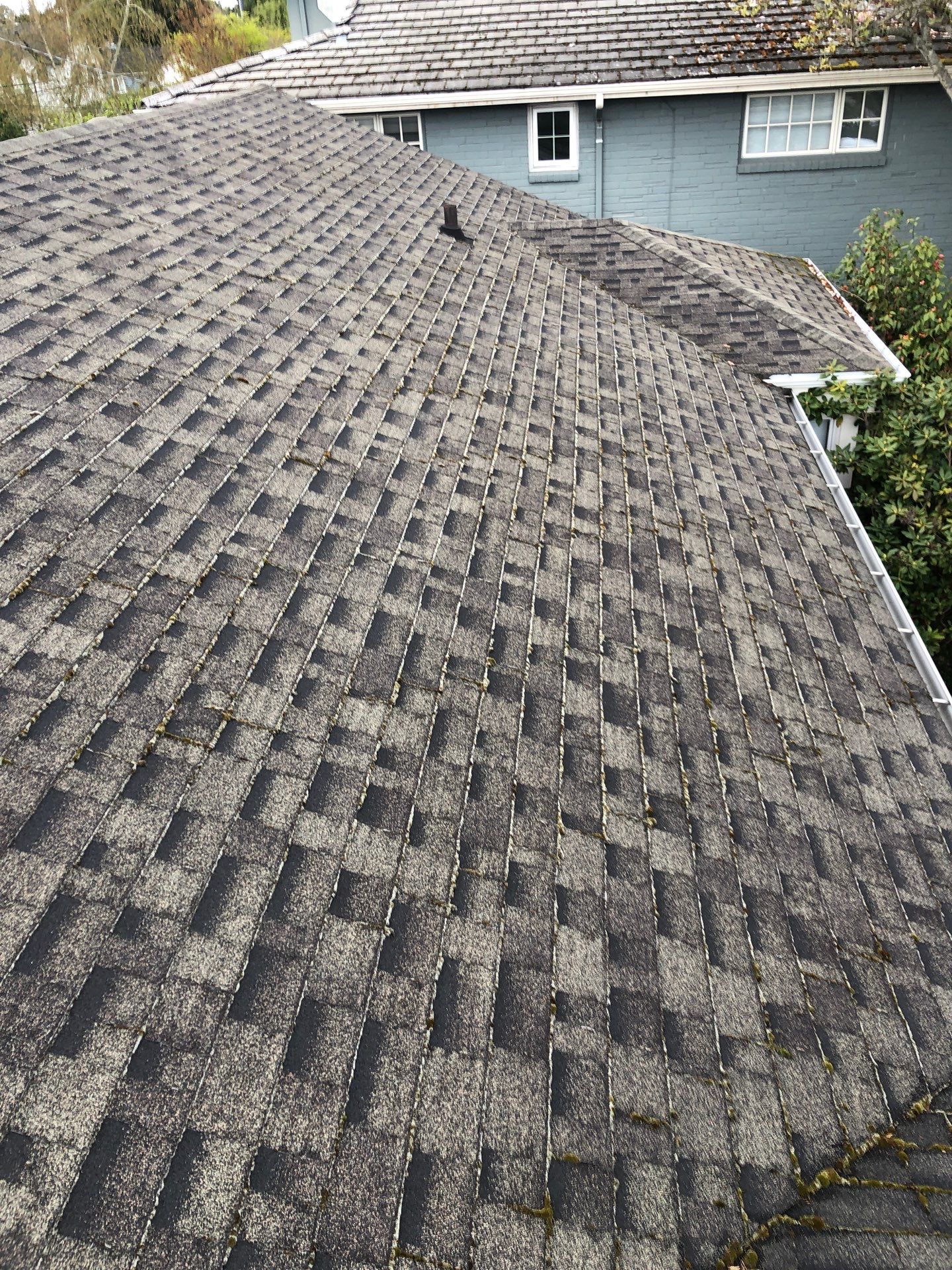 Project in Seattle by Connolly Construction Company