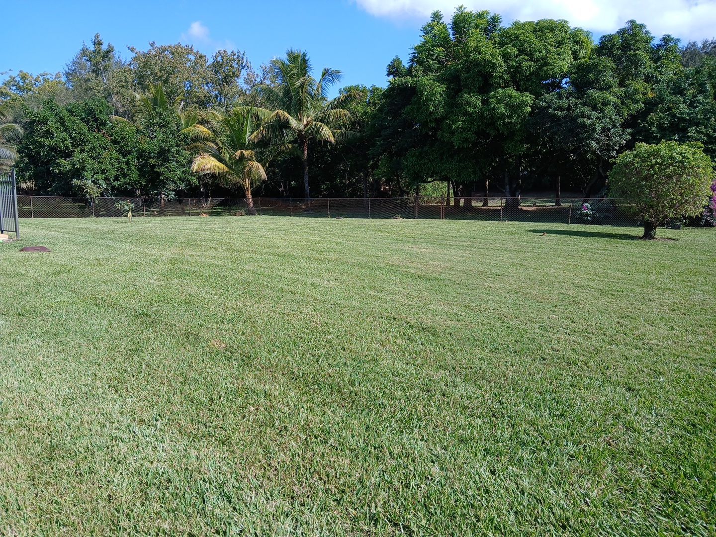 🌴✨ “Crane Creek Snip, Tip & Tune-Up” ✨🌴 by Alpha Zeta Enterprises Inc