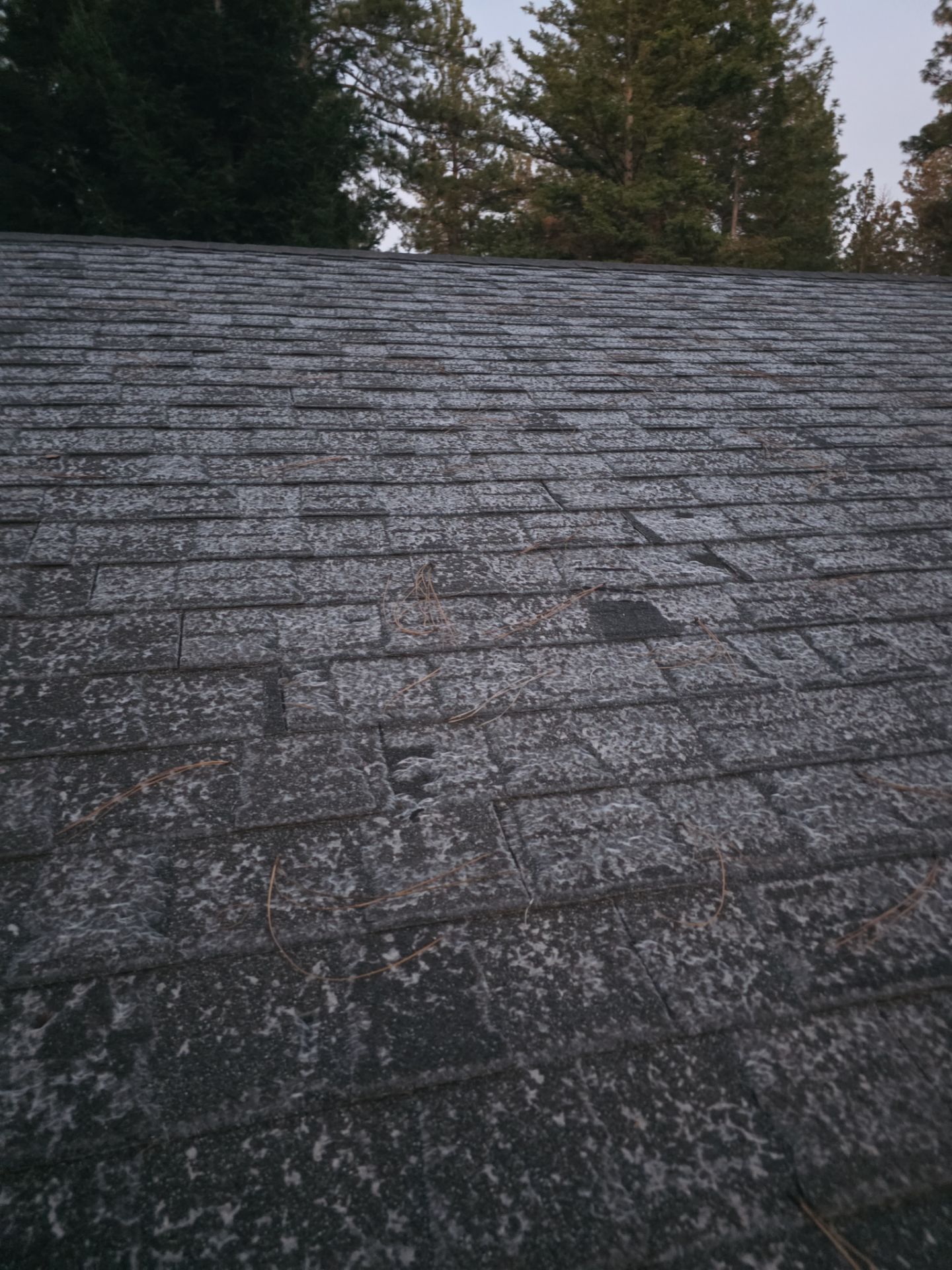 Roof Rejuvenation using Roof Maxx Treatment by Roof Maxx of Folsom