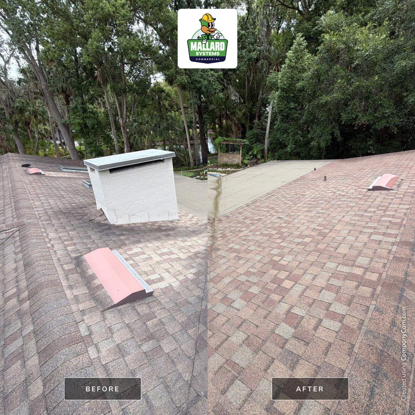 Shingle Roof Cleaning for Maitland Residence by Mallard Systems