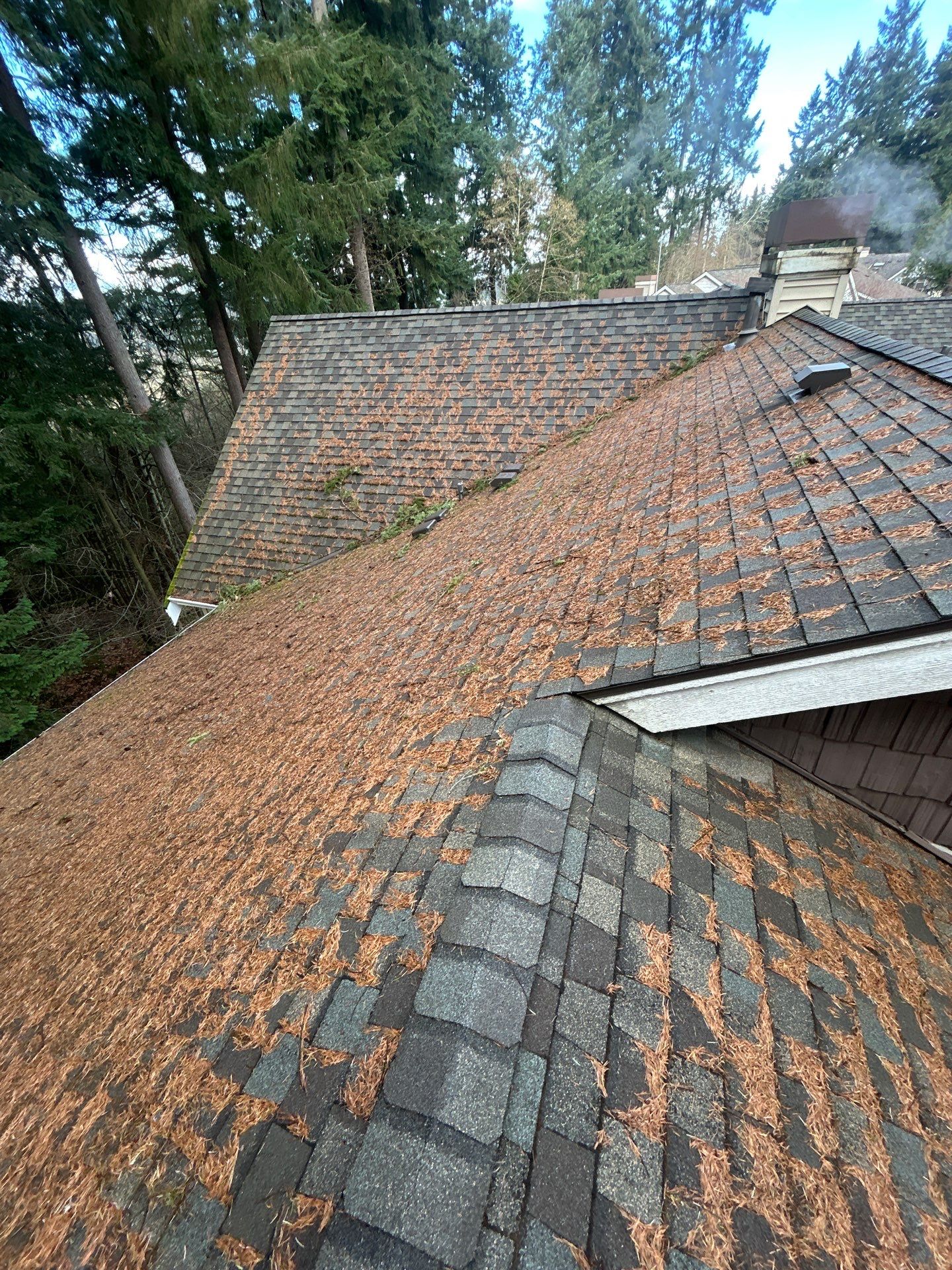 Project in Bothell by Peaks and Valleys Construction