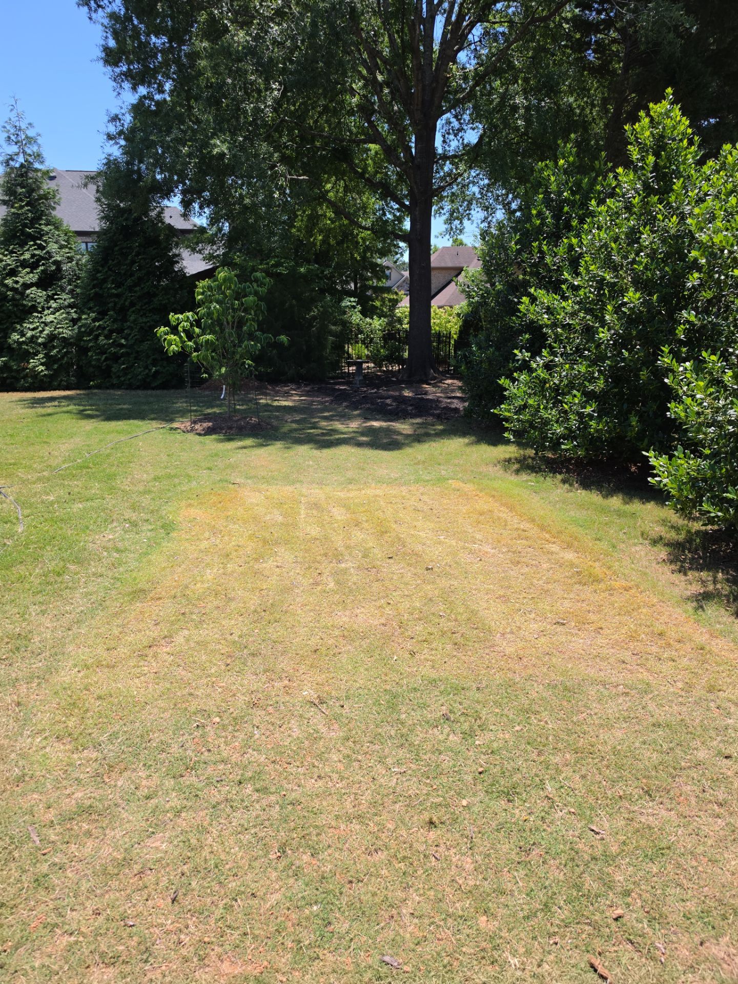 Job site clean up in Waxhaw by Badger Hauling