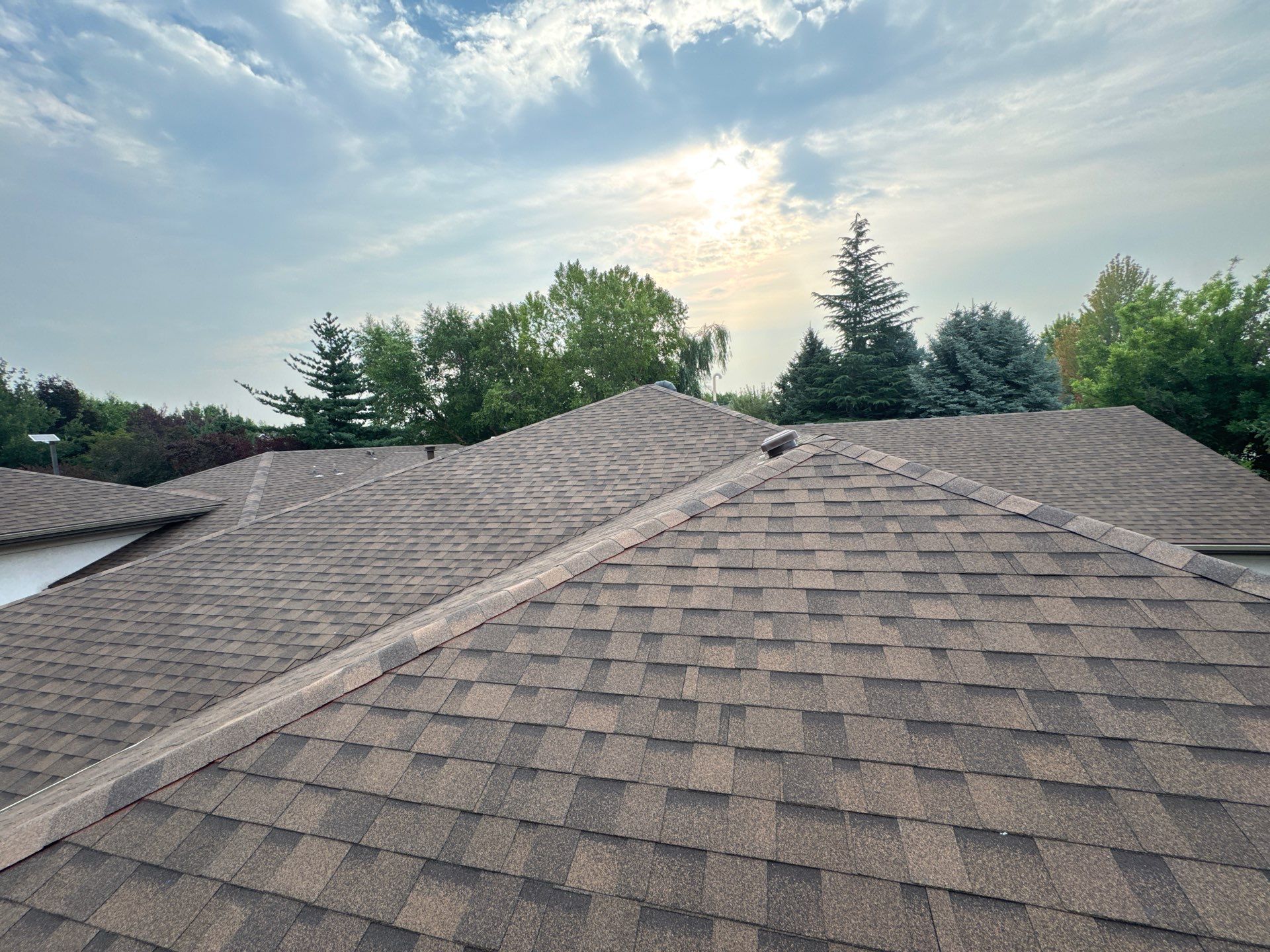 Boise Commercial Roof Replacement with Brown Architectural Shingles by Olive Roofing
