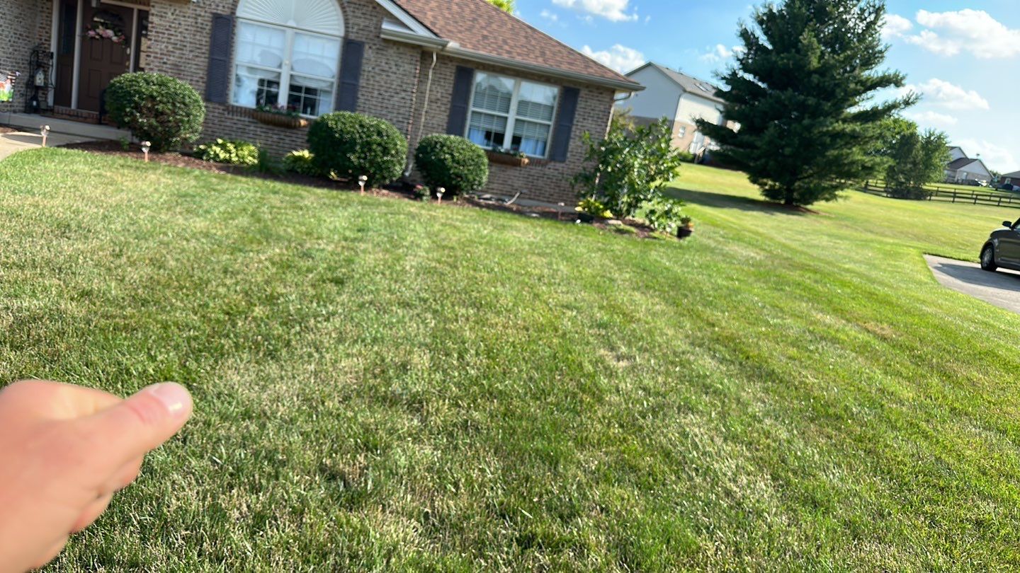 Roof and Windows! by Tamlin Roofing