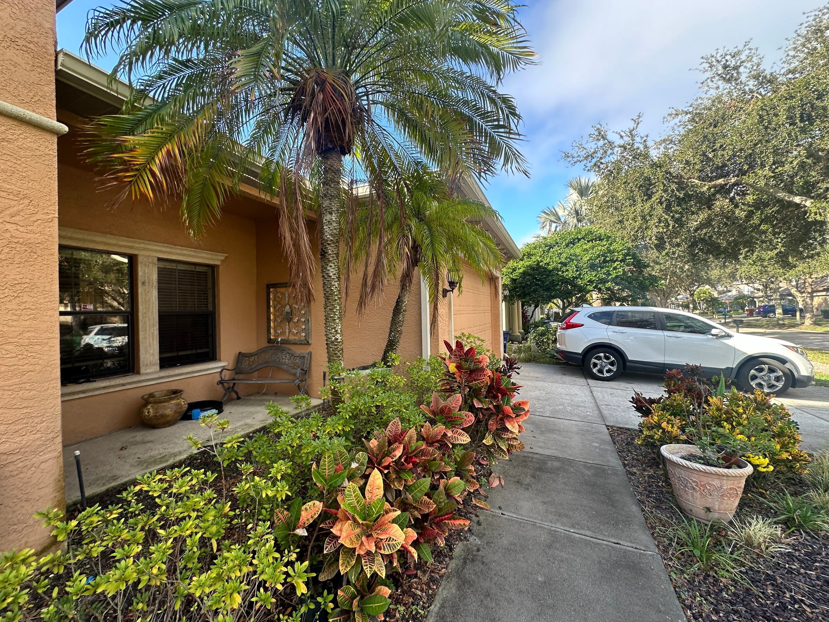 Roof Damage Claim in Palm Harbor by FLAPA & KeyStone