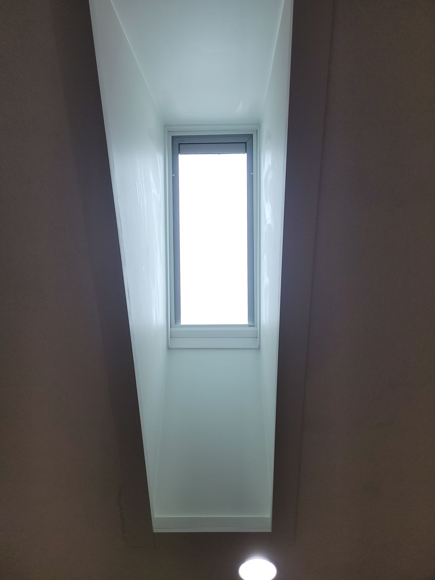 Pat Corrigan by Silver Leaf Contracting 