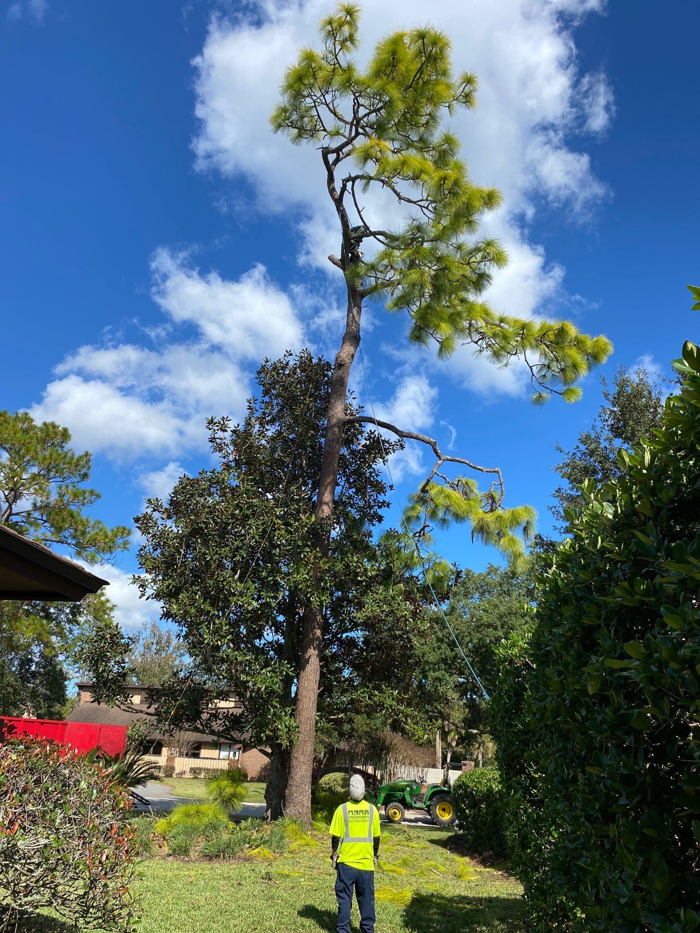 Deerwood Resident | Tree Removal by ProGreen Services