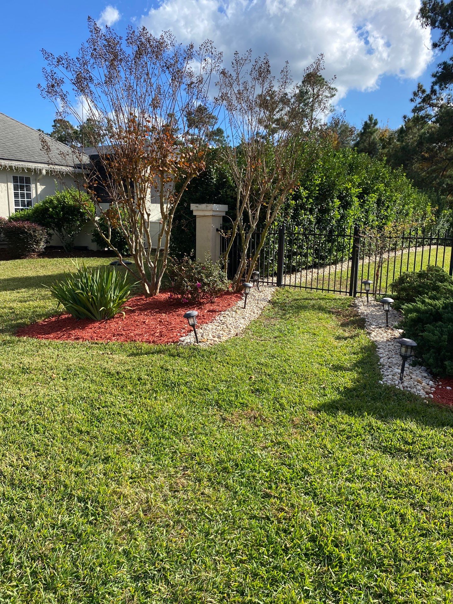 Deerwood Resident | Palm Trimming & Ground Cover by ProGreen Services