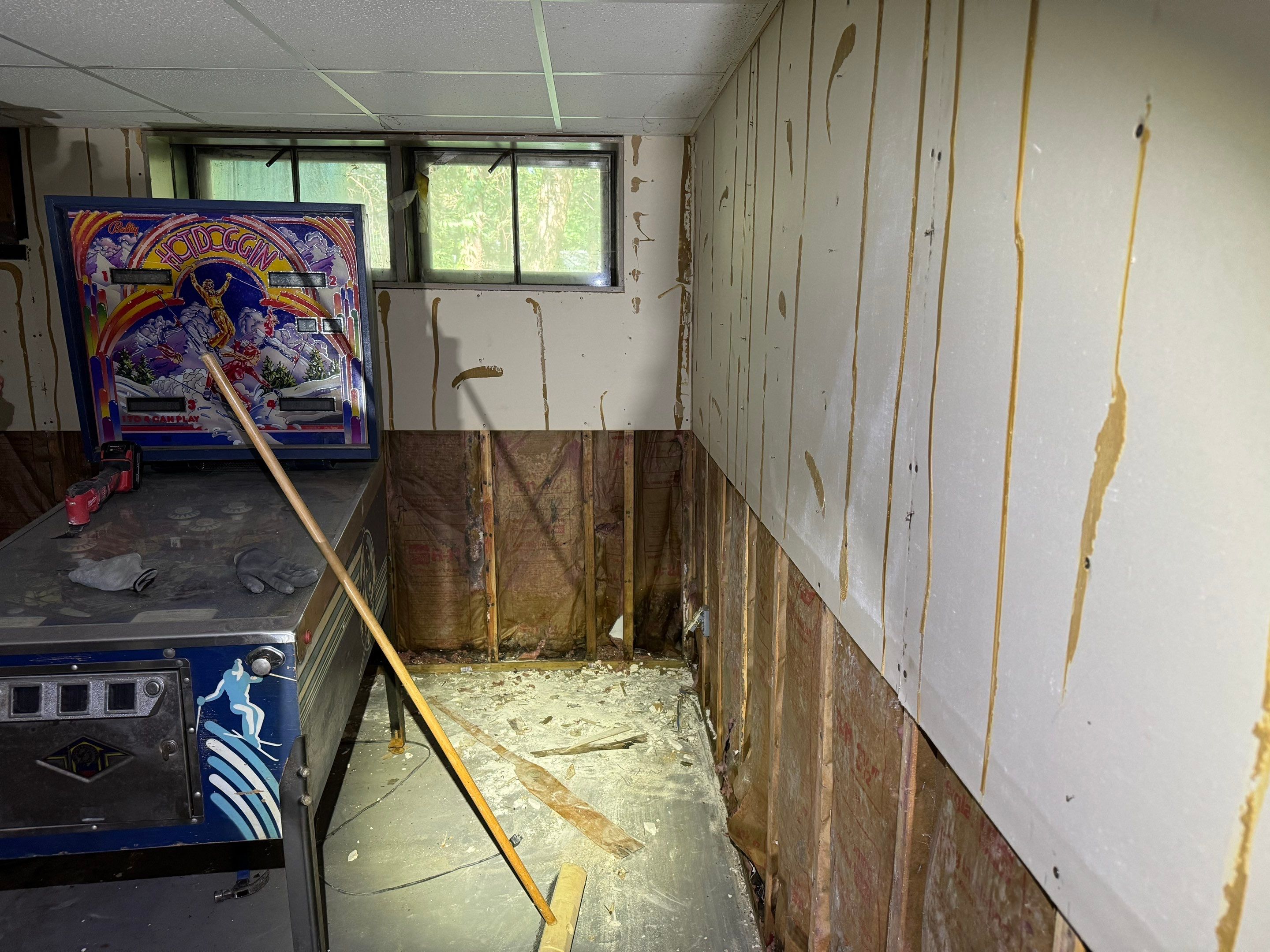 Basement Mold Remediation by Home Guarantee, LLC