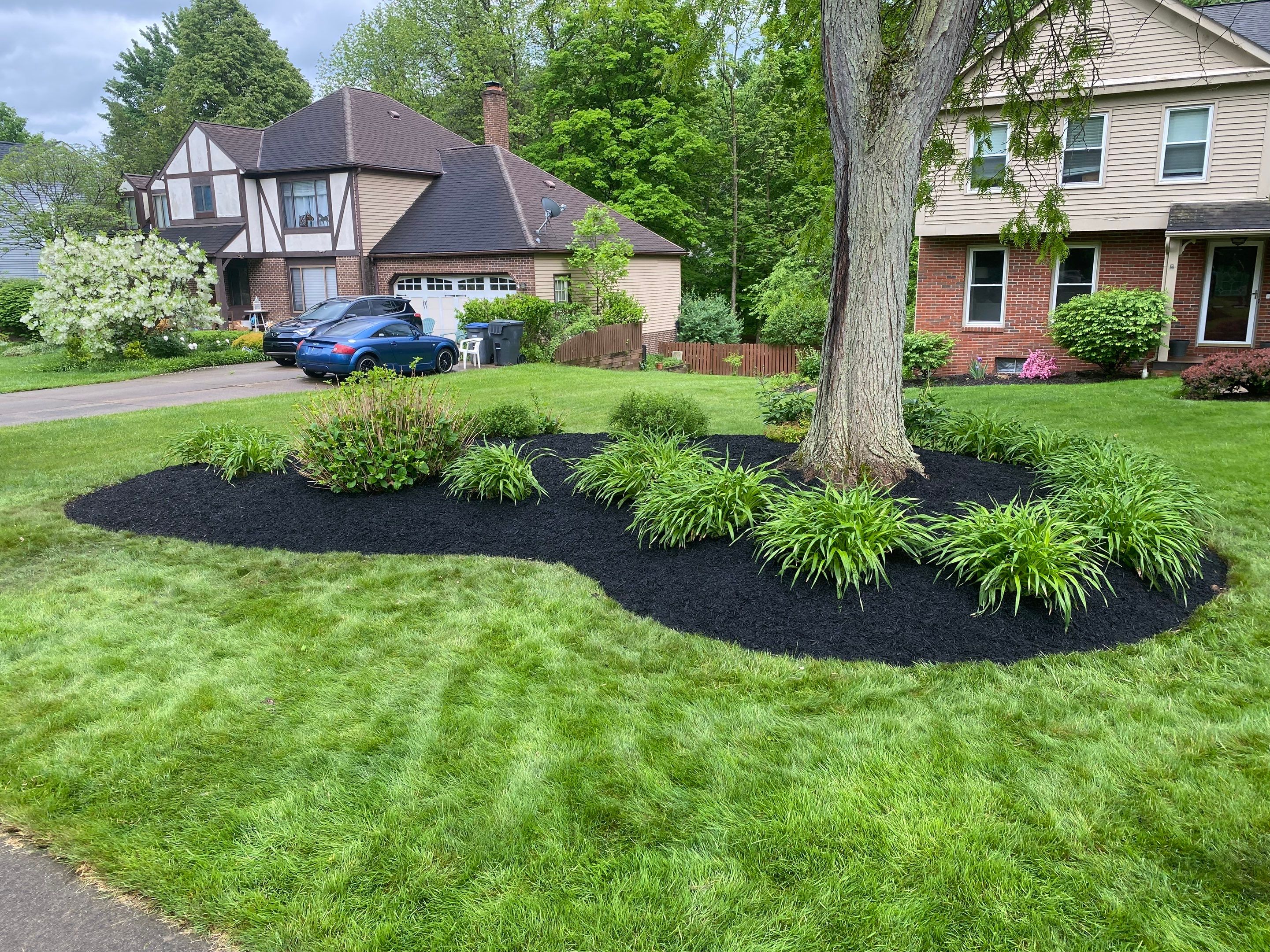 Curved Edge Maintenance by Elm Rose Gardens