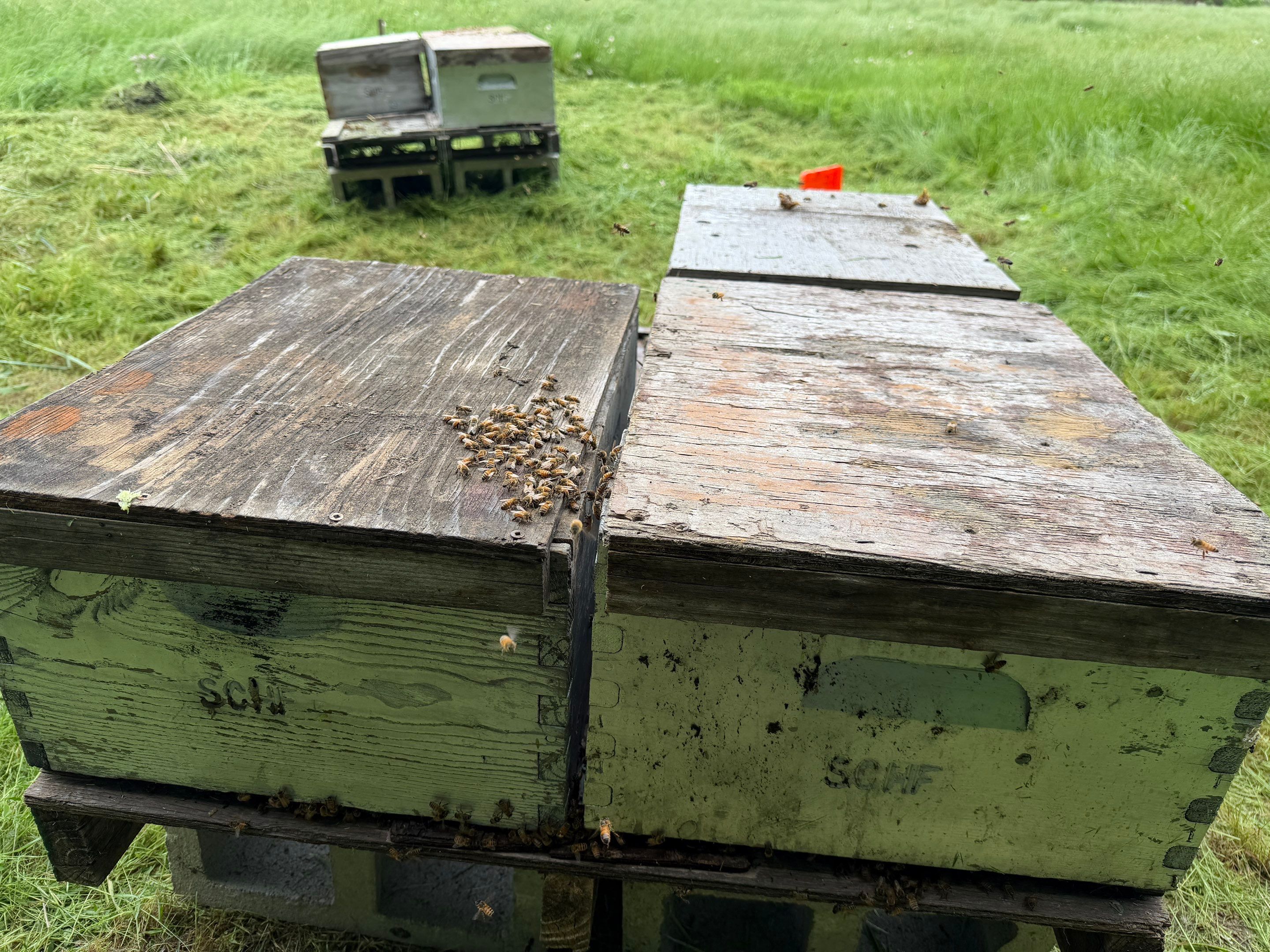 Special Use Valuation in McClendon-Chisolm by Rockwall Honey Bee Company