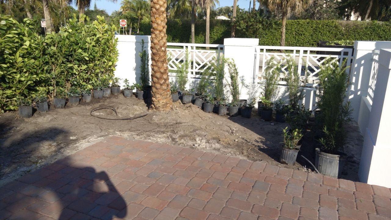 Hazard  by The Landscaping People