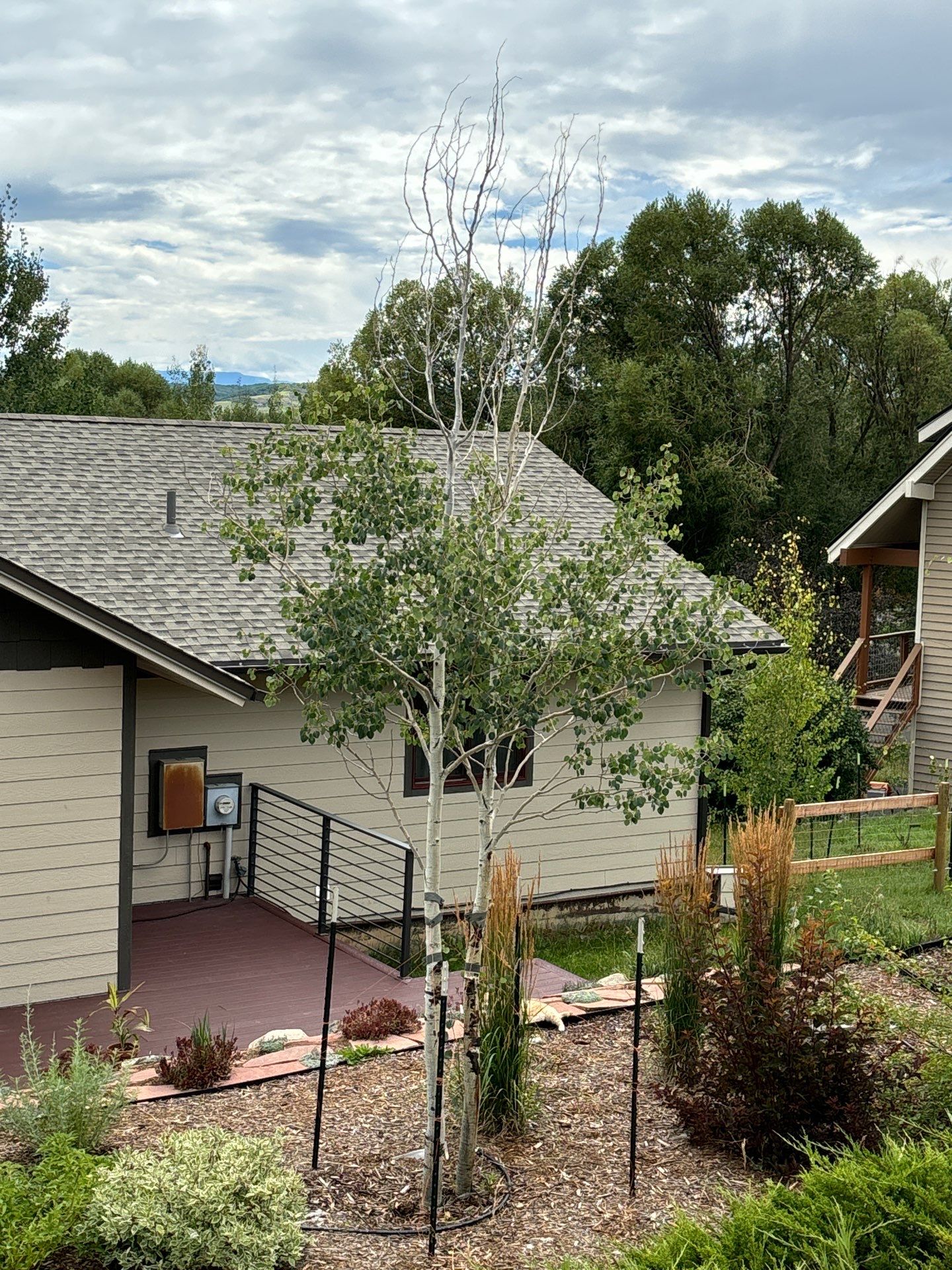 Property Management using seasonal maintenance by Gold Peak Property Management