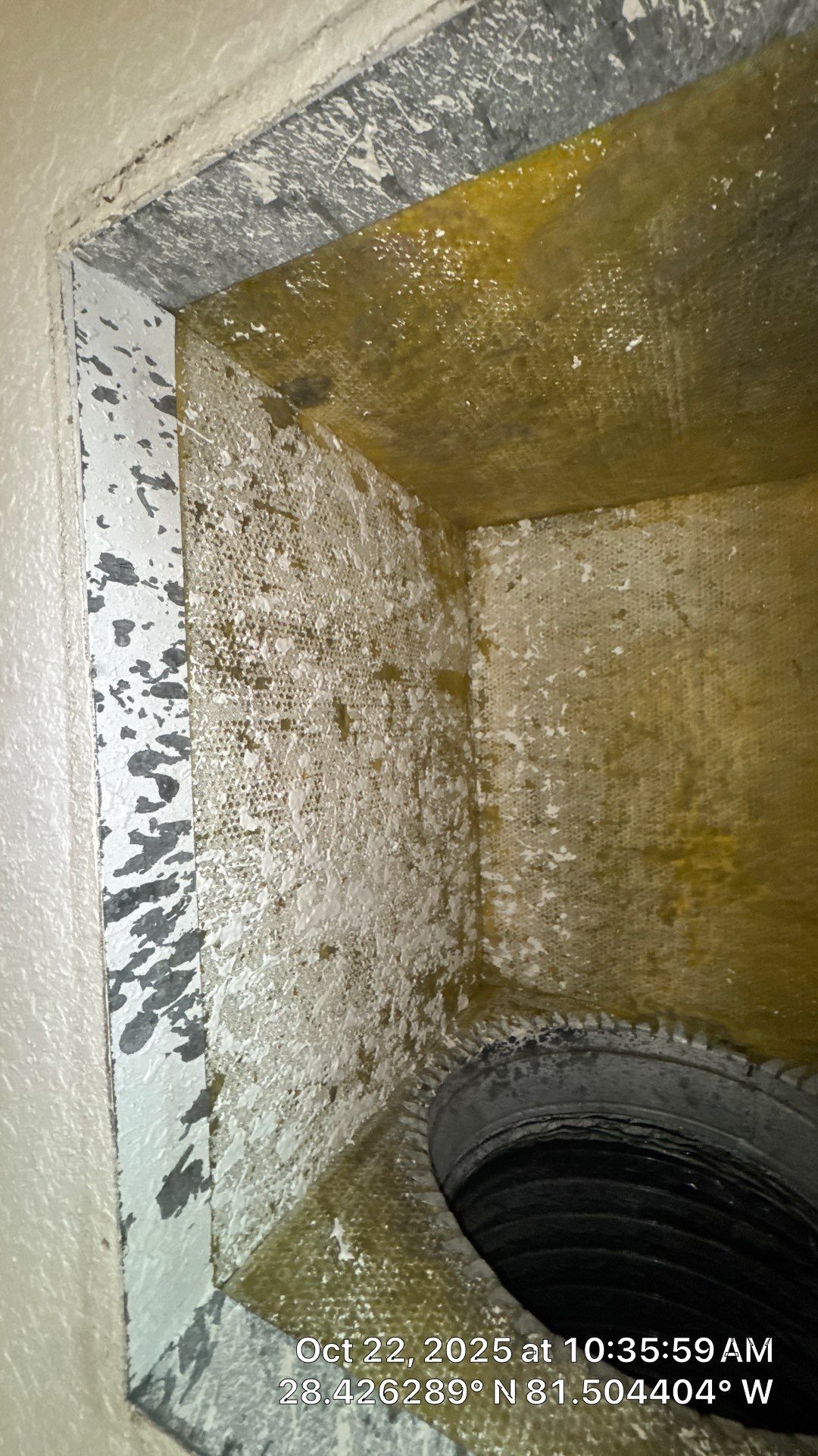 Air Duct and Dryer Vent Cleaning in Orlando by Hygienic Air, Inc