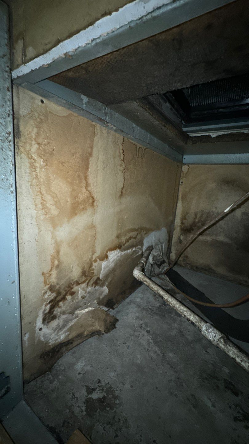 Commercial Air Duct Cleaning in Tavares by Hygienic Air, Inc