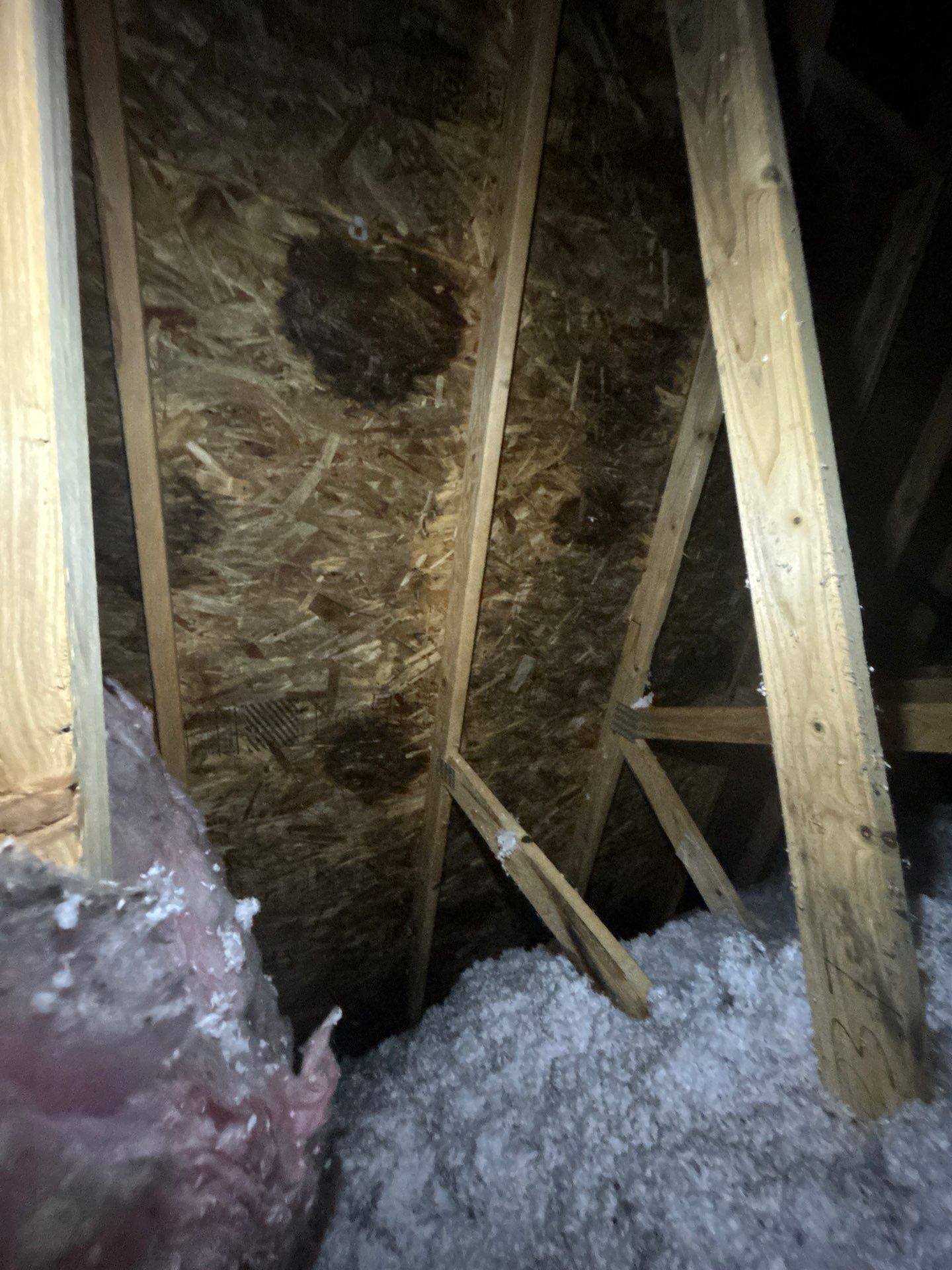 Project in Mount Vernon by Connolly Construction Company