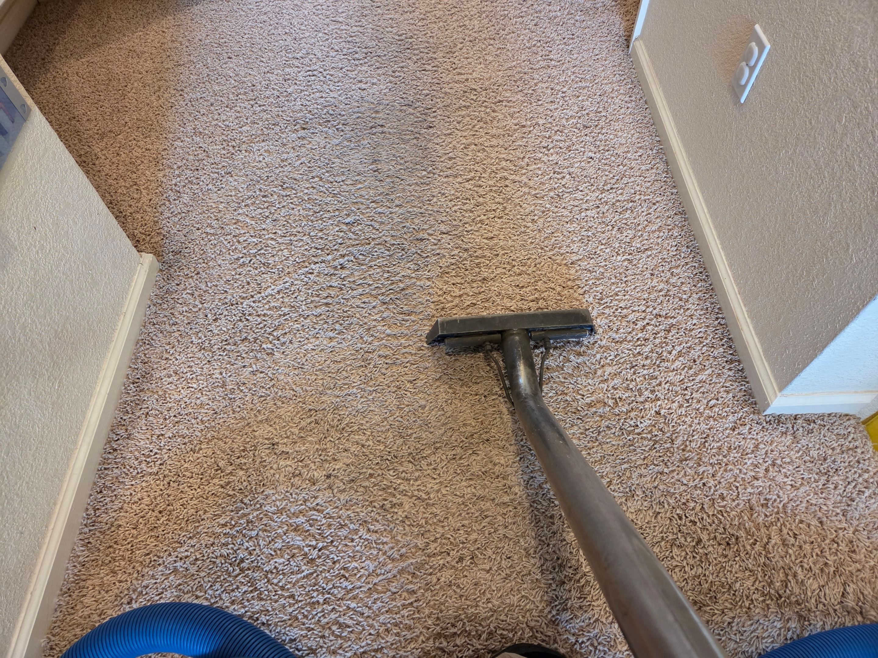 Carpet & Upholstery Cleaning in Roseville by Ardent Carpet Restore LLC