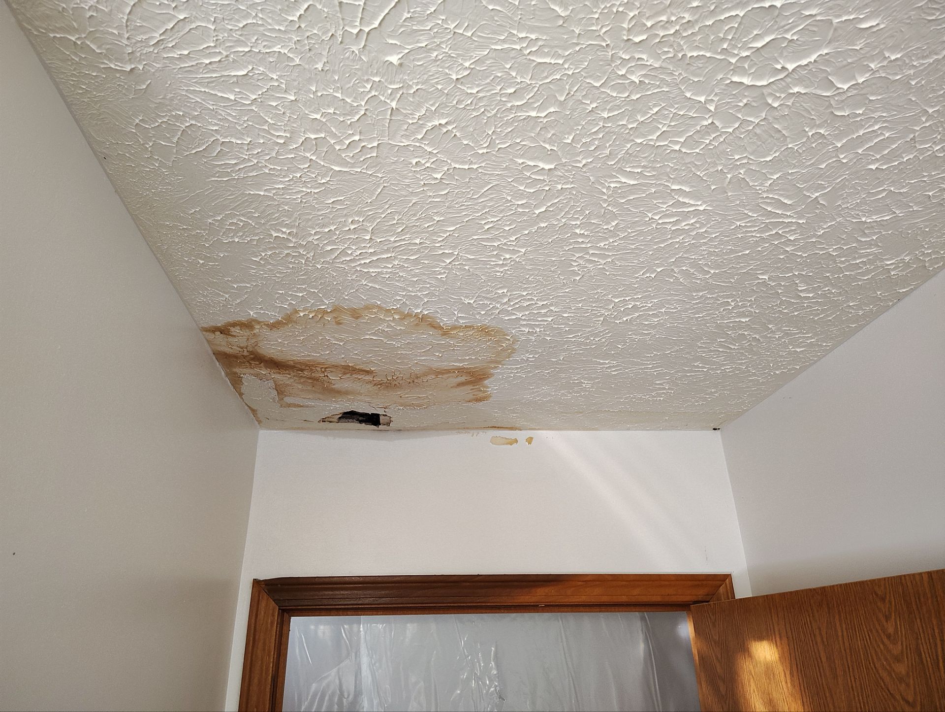 Mold and Water Damage in Belaire Ohio Home  by Home Environment Solutions