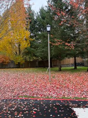 Community Street Lighting