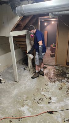 Project by BlueRed Restoration