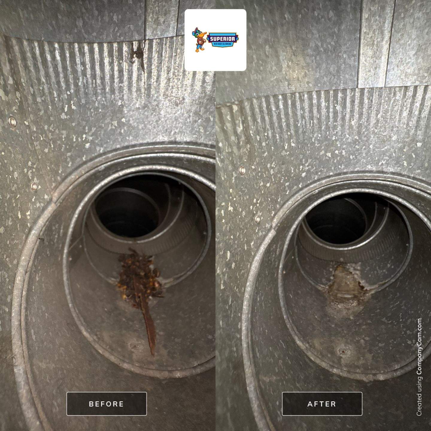 Air Duct Cleaning With a Vacuum Truck in Darlington, PA by Superior Air Duct Cleaning