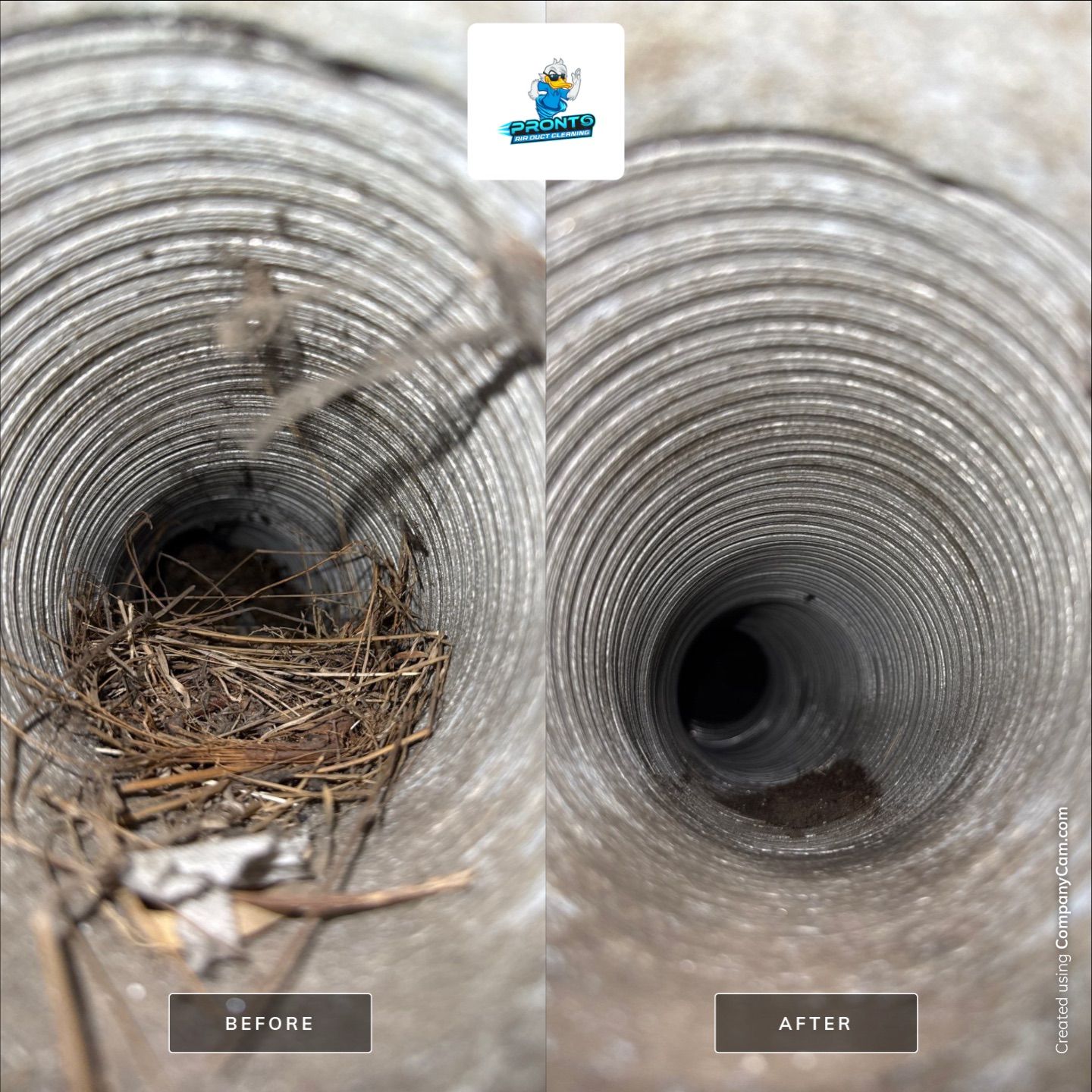 Duct Cleaning Alexandria, VA by Pronto Air Duct Cleaning