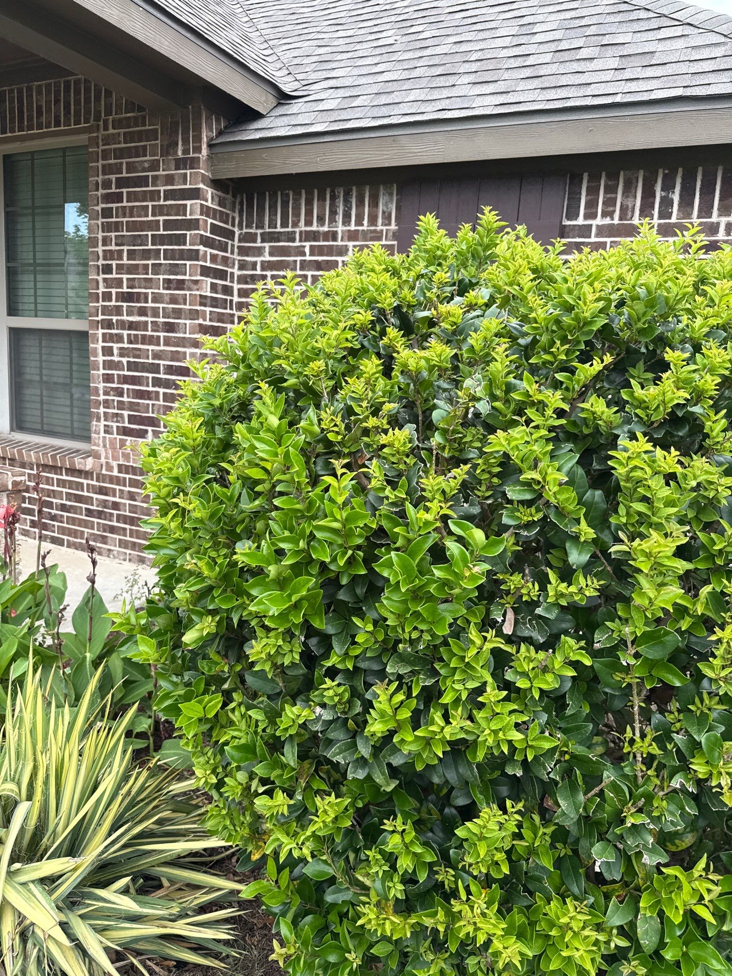Project in Wylie by Rhino Roofing and General Contracting, LLC