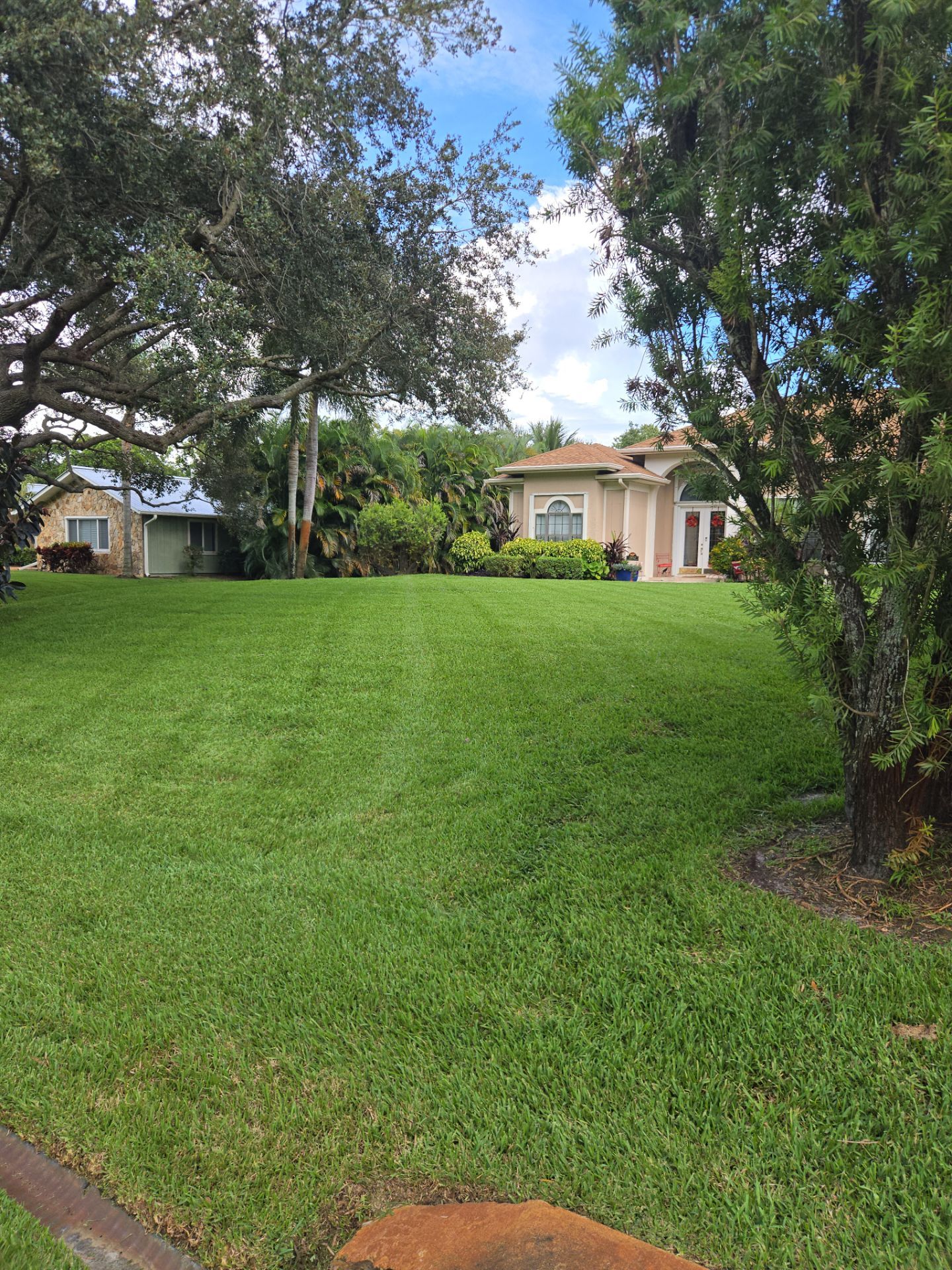 🌴✨ “Crane Creek Snip, Tip & Tune-Up” ✨🌴 by Alpha Zeta Enterprises Inc