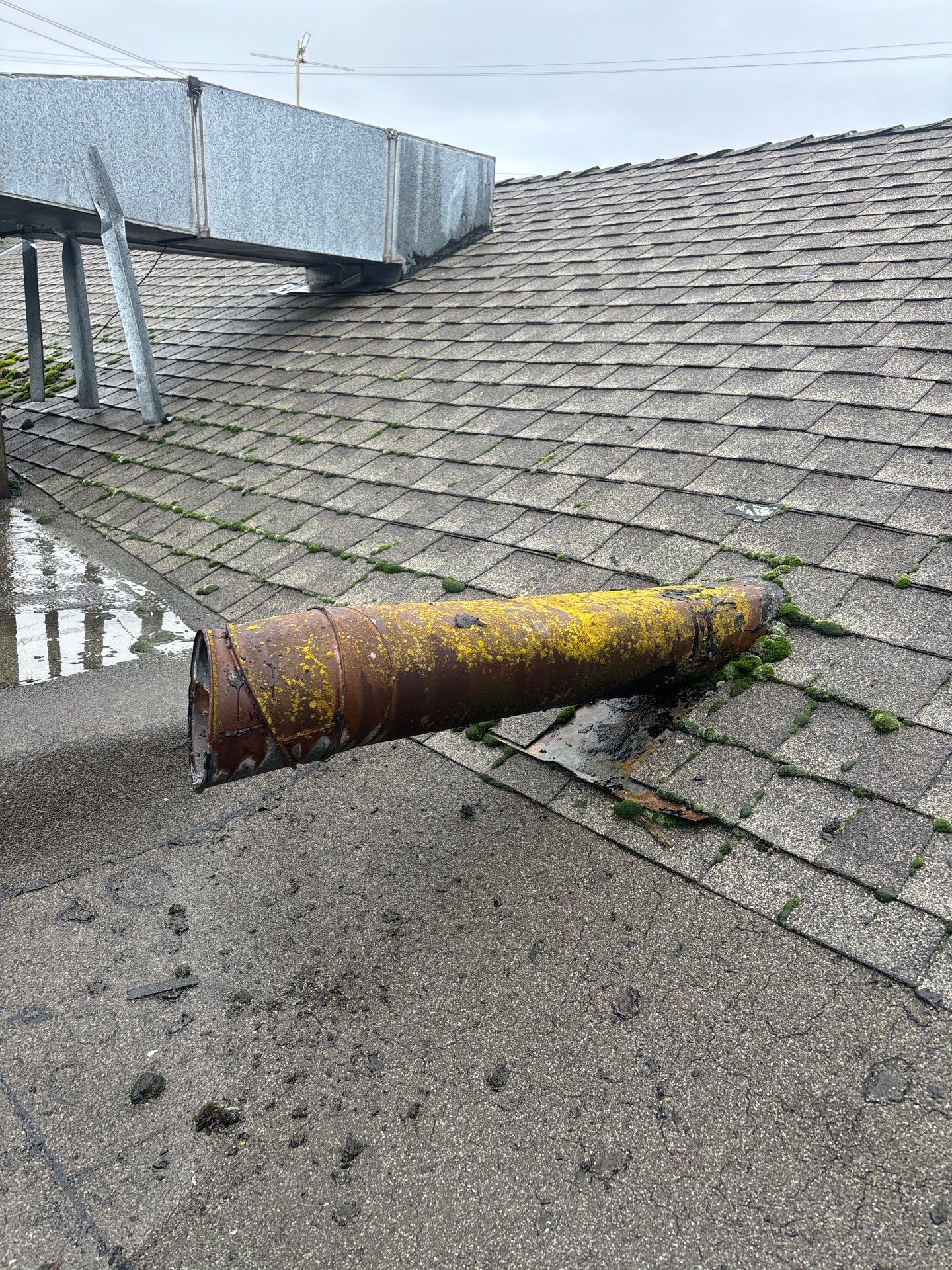 Summit Grey Lum Yun Salem Oregon Commercial Roof by Orezona Building & Roofing Company, Inc.